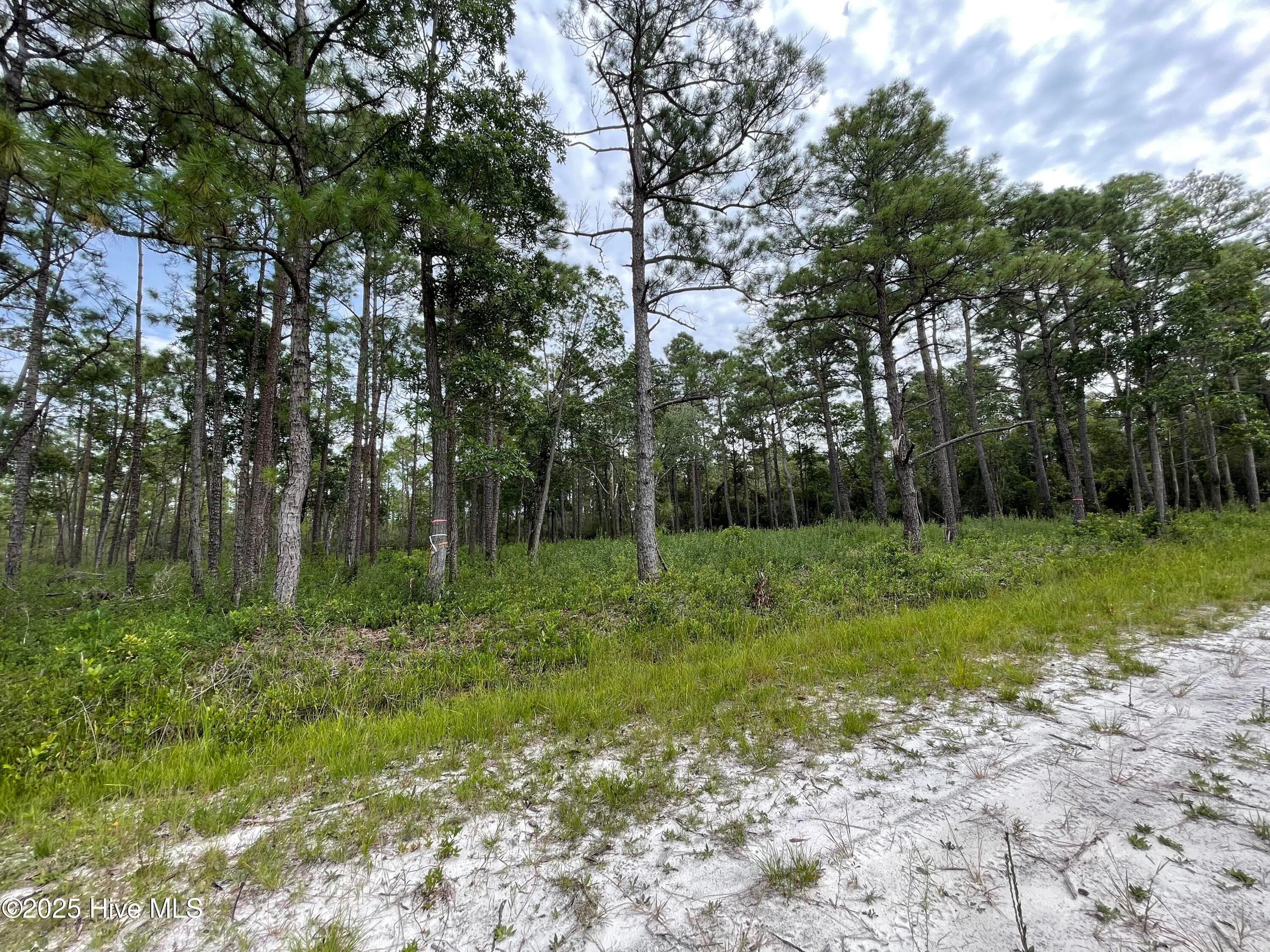 Residential Lot at 811 Brittany Road, Southport, NC 28461, photo 2 of 25
