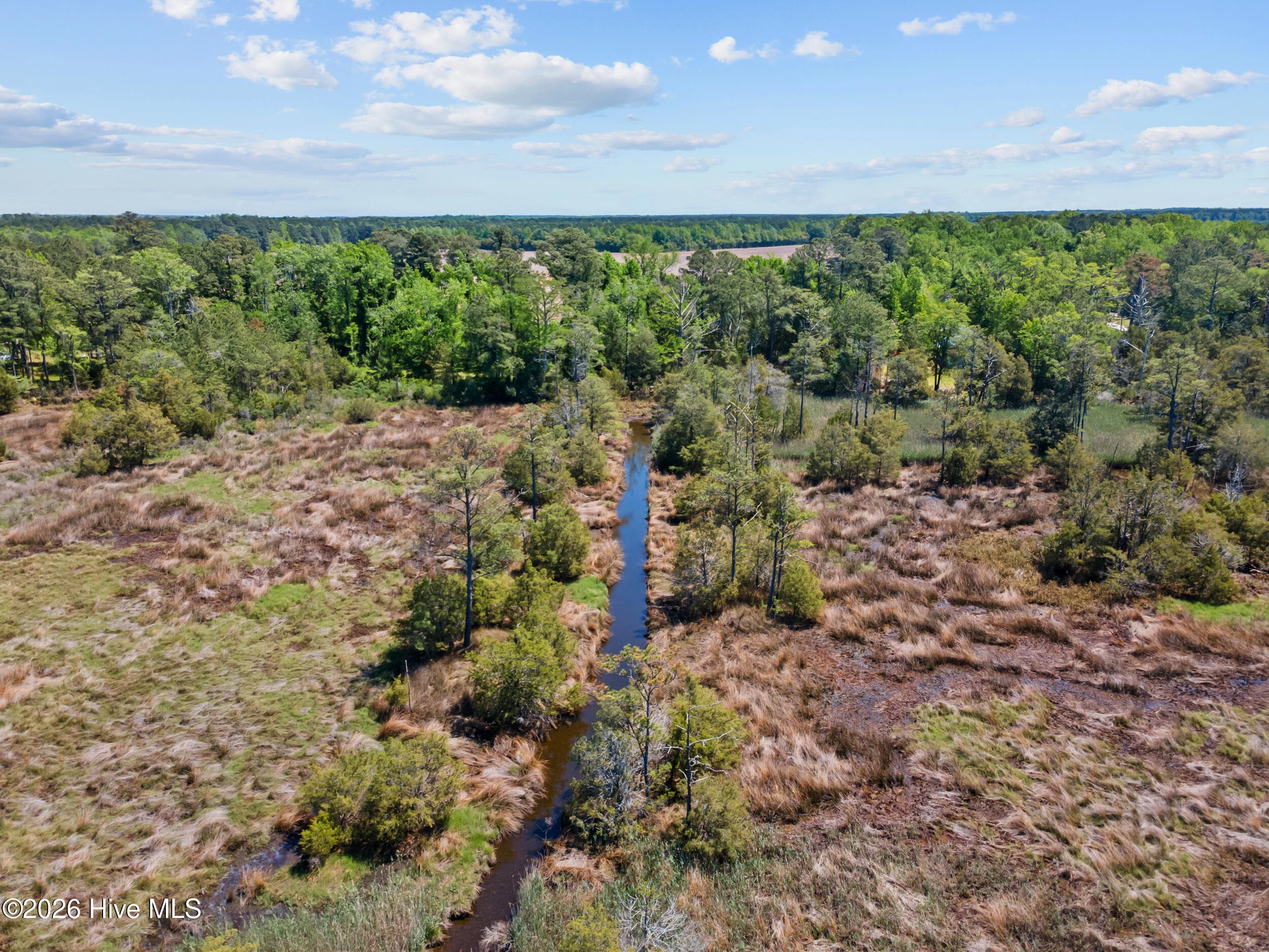 Residential Lot at 485 Florence Road, Merritt, NC 28556, photo 13 of 19