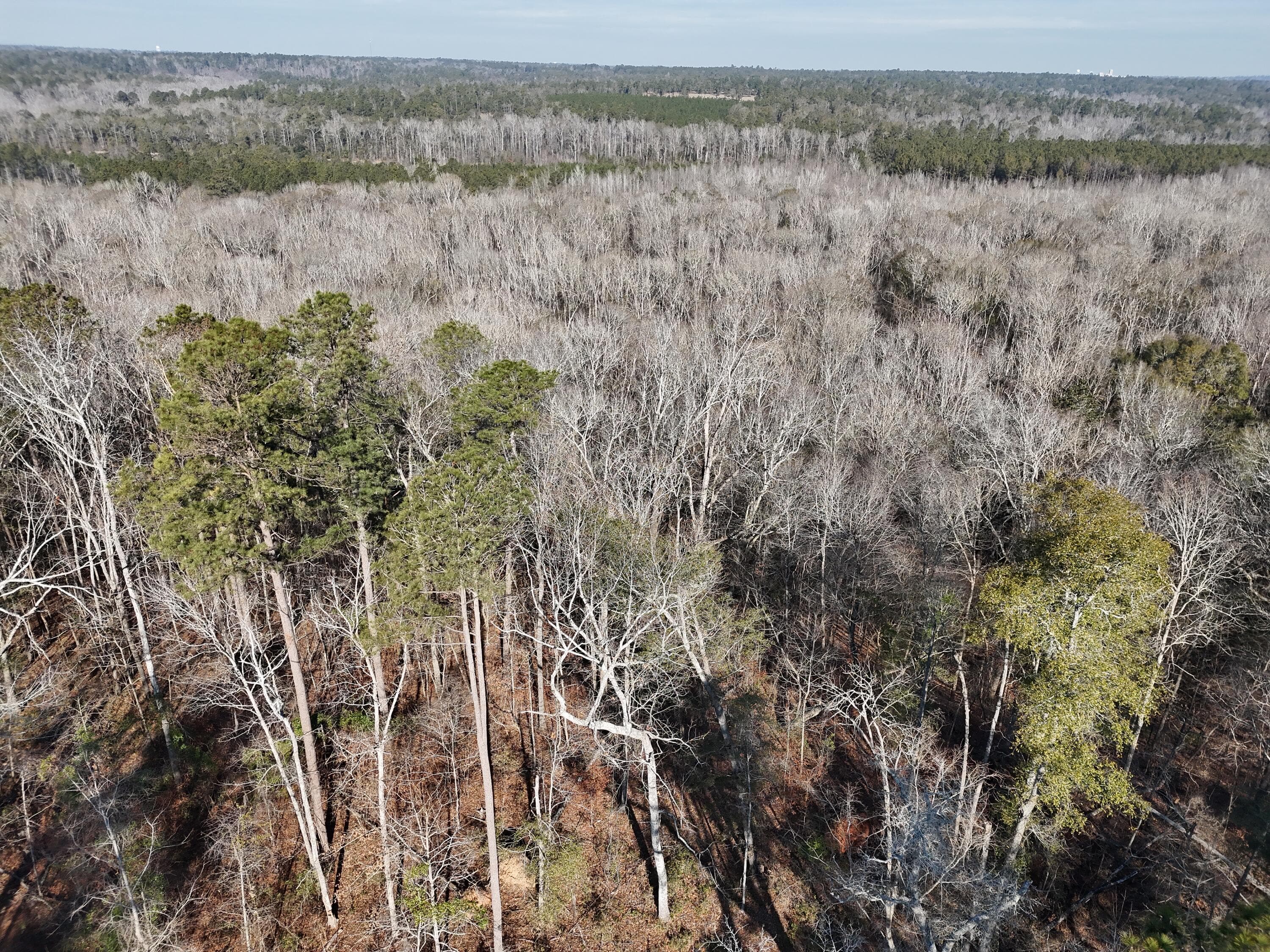 Undeveloped at 0 Ponderosa Road, Waynesboro, GA 30830, photo 10 of 45