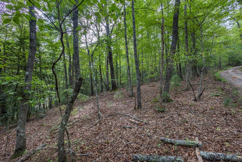 Residential Lot at 2 Ac 6 Horvath Road, Murphy, NC 28906, photo 9 of 12