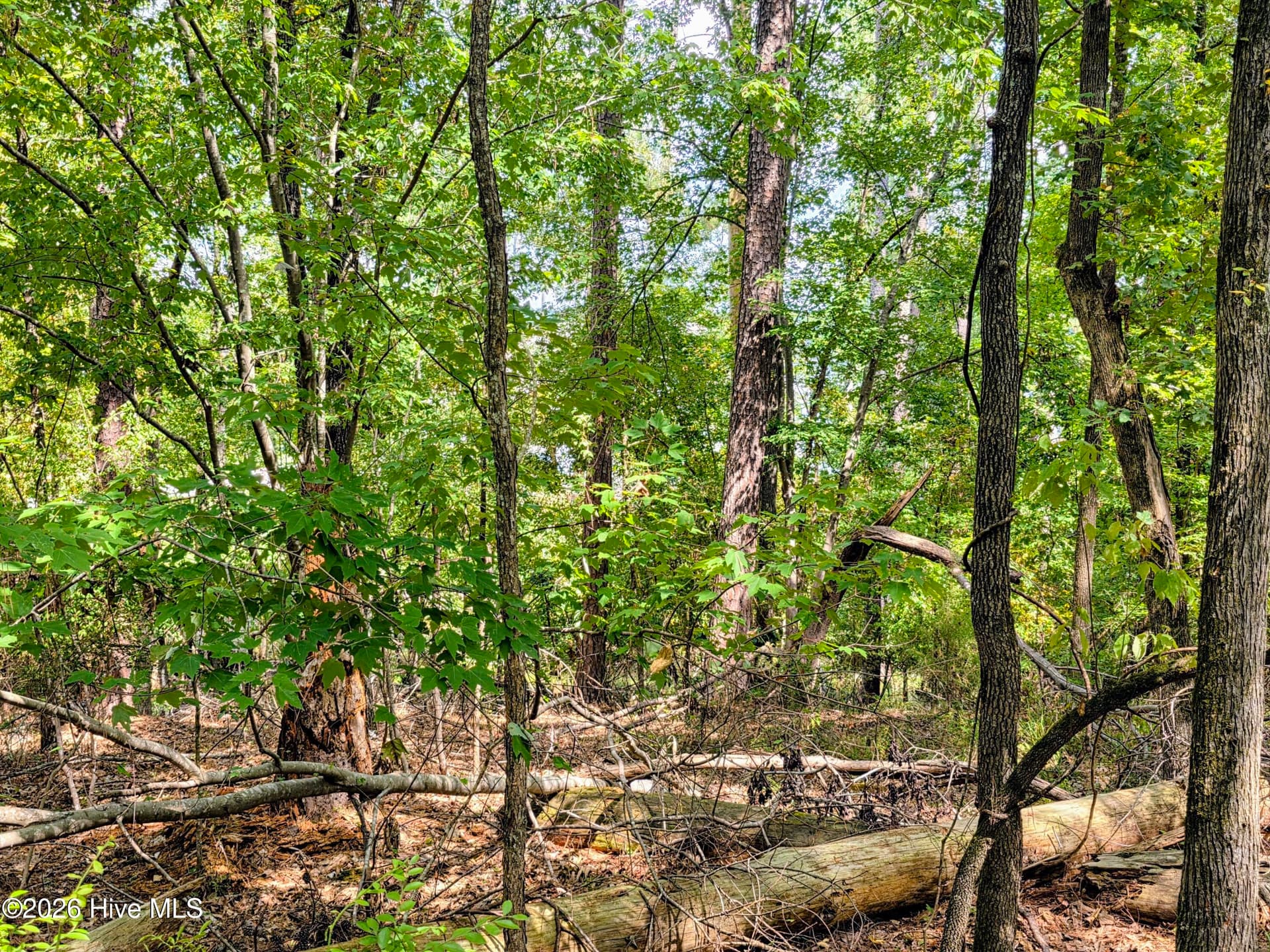Residential Lot at 119 Waters Edge Drive, McCormick, SC 29835, photo 2 of 2