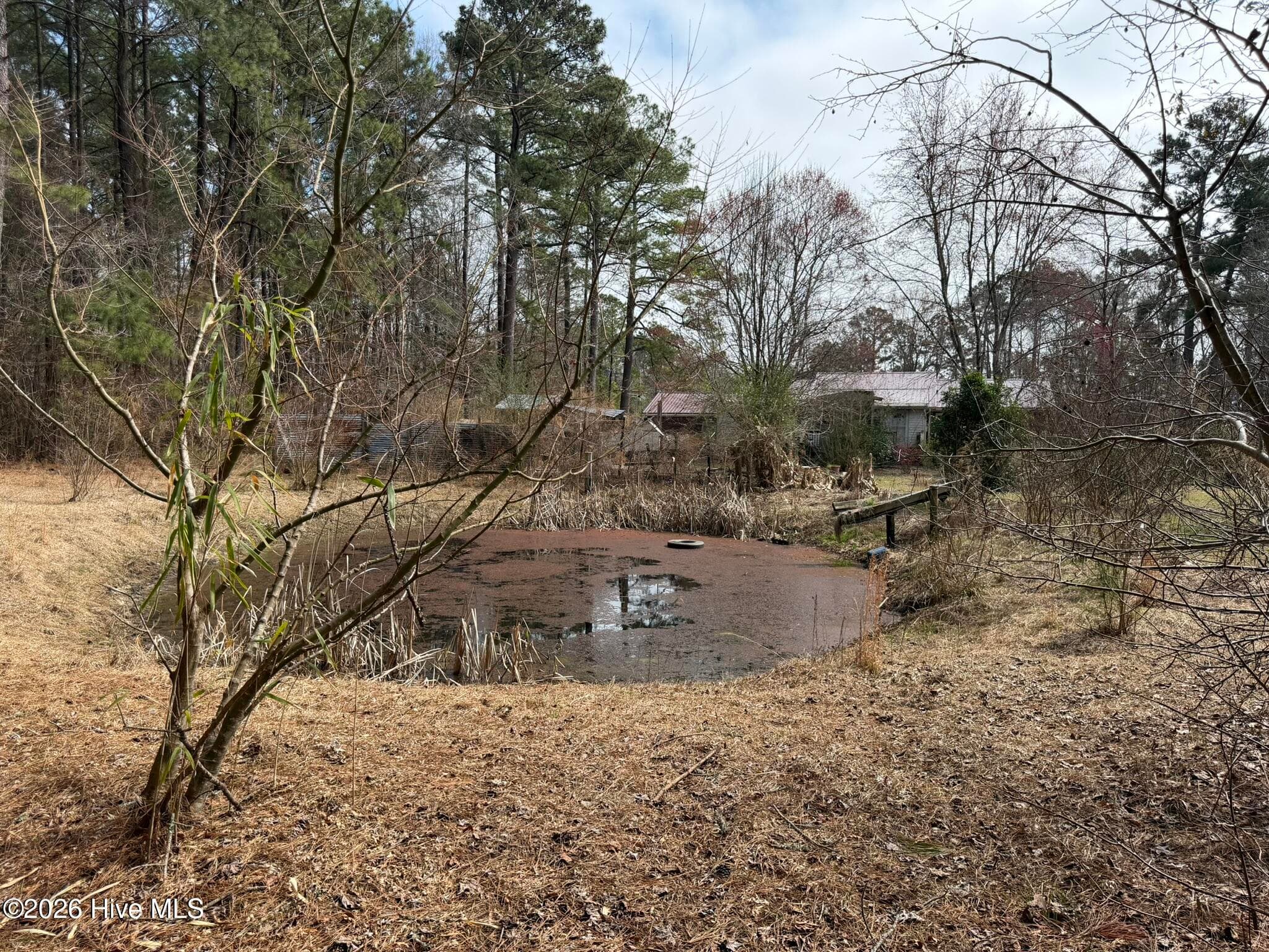 Single Family Residence at 3414 Possum Hill Road, Bath, NC 27808, photo 2 of 2