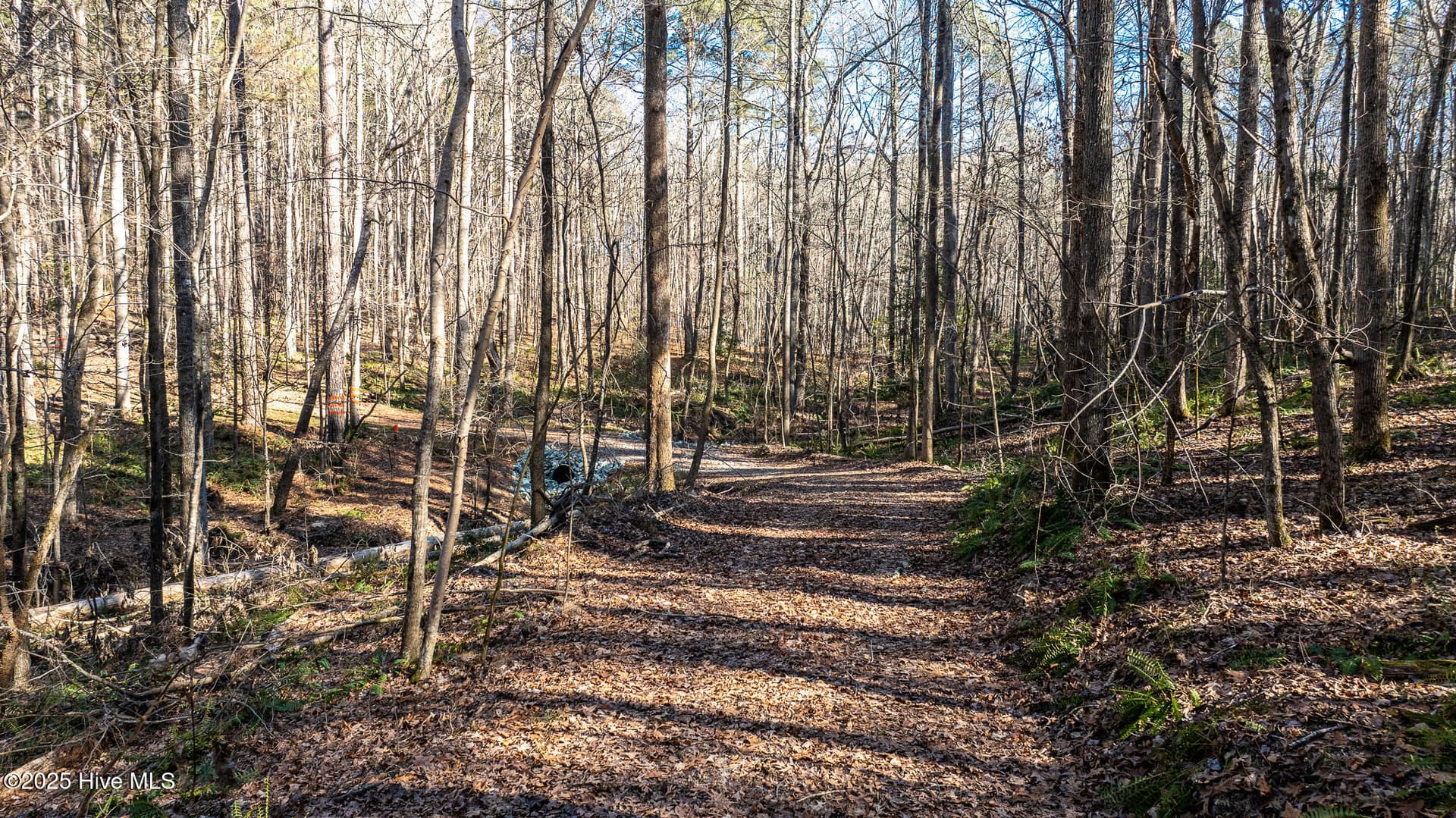 Undeveloped at Off 5 J B Morgan Road, Apex, NC 27502, photo 20 of 21