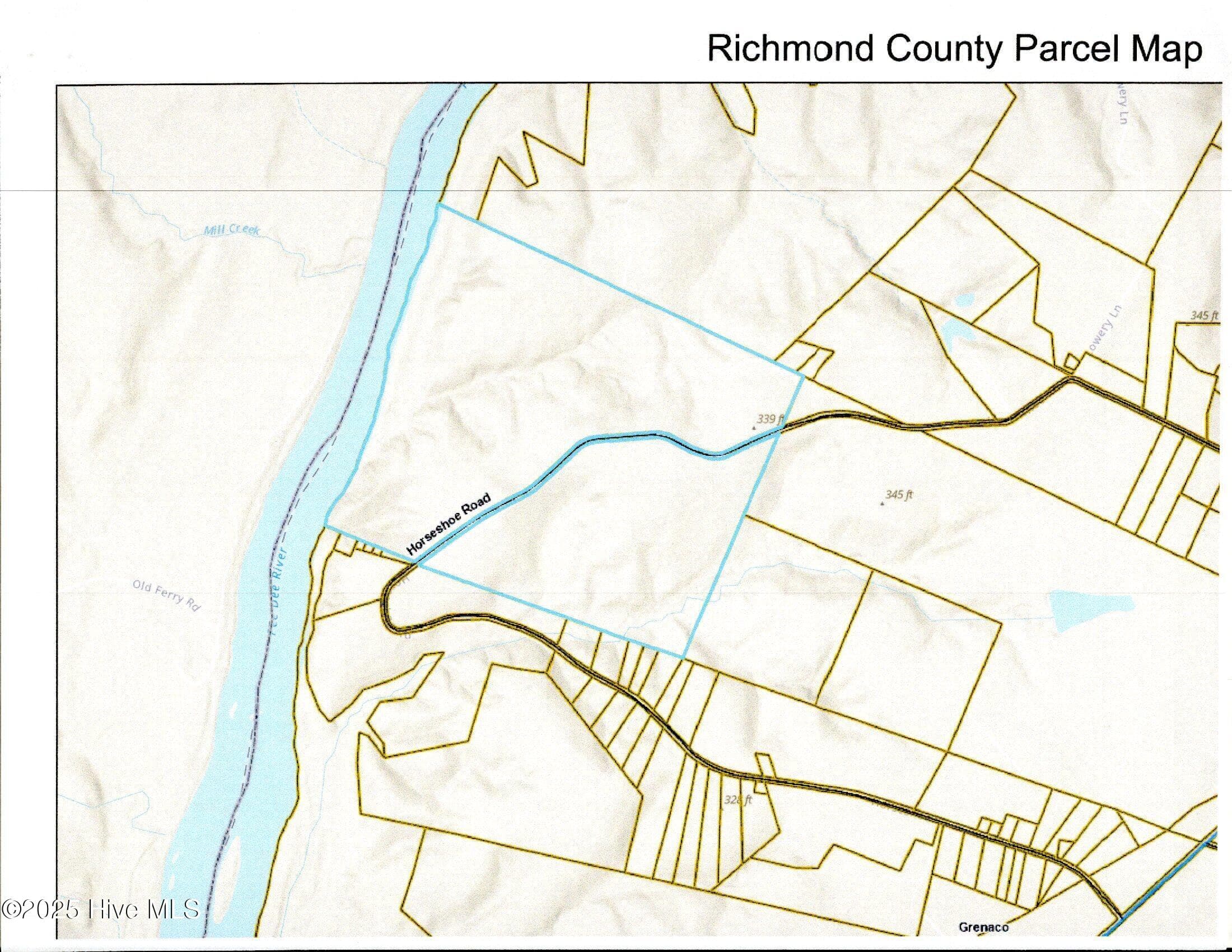 Blue outlined area is site - 355.7 Horseshoe Road, Rockingham, NC 28379