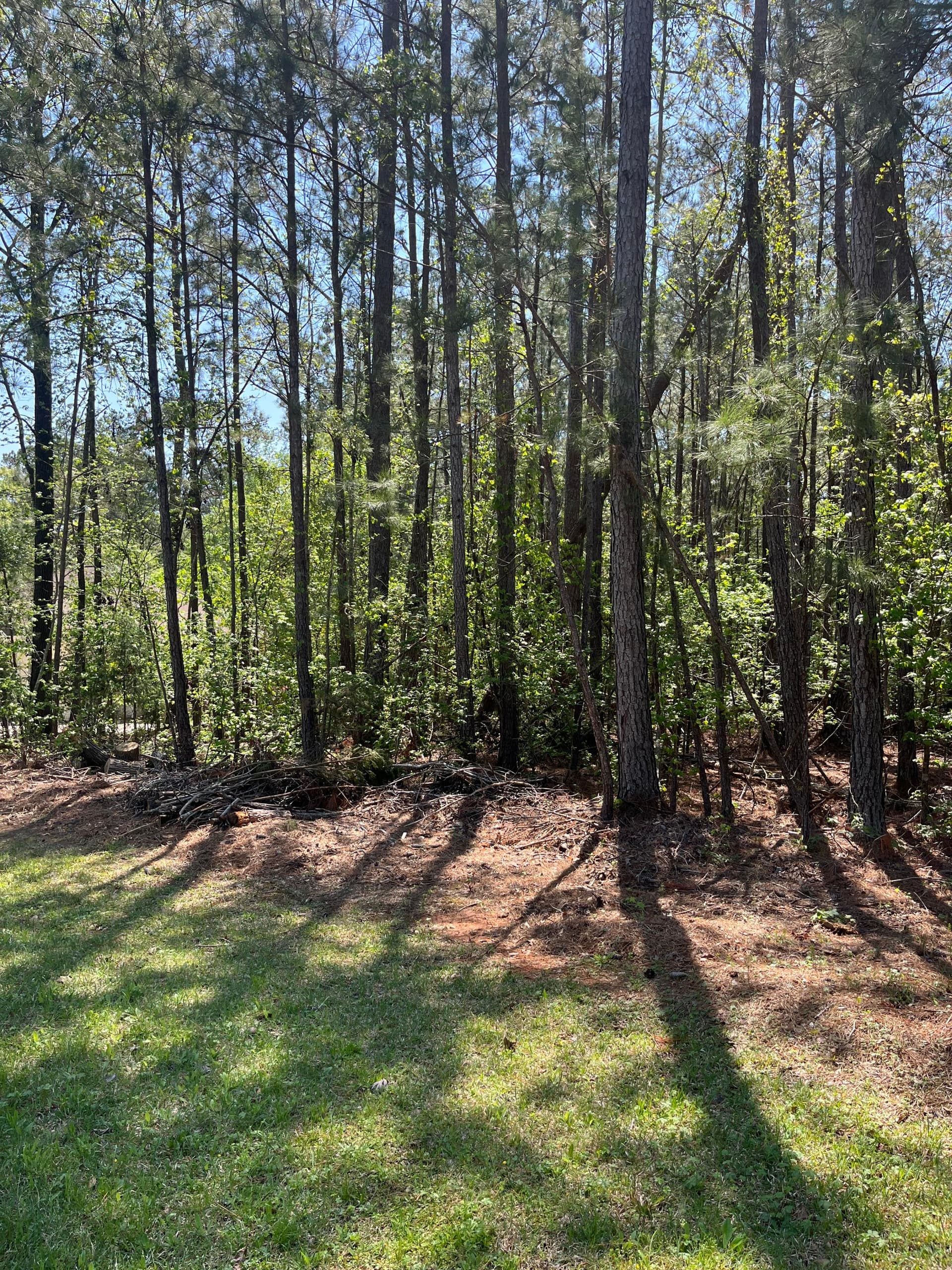 L14 B39 Antioch Drive, McCormick, SC 29835
