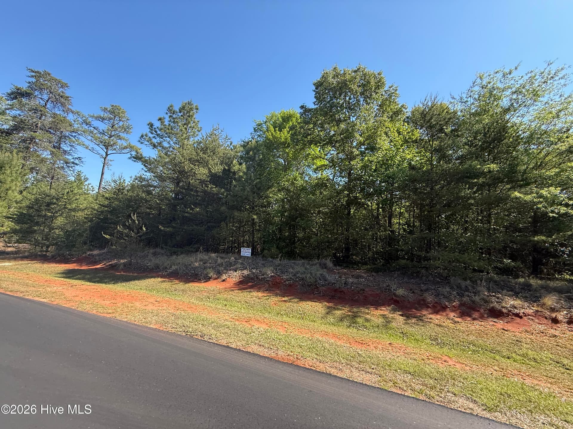Residential Lot at 176 94 Lakeview Pass, Rockingham, NC 28379, photo 11 of 30