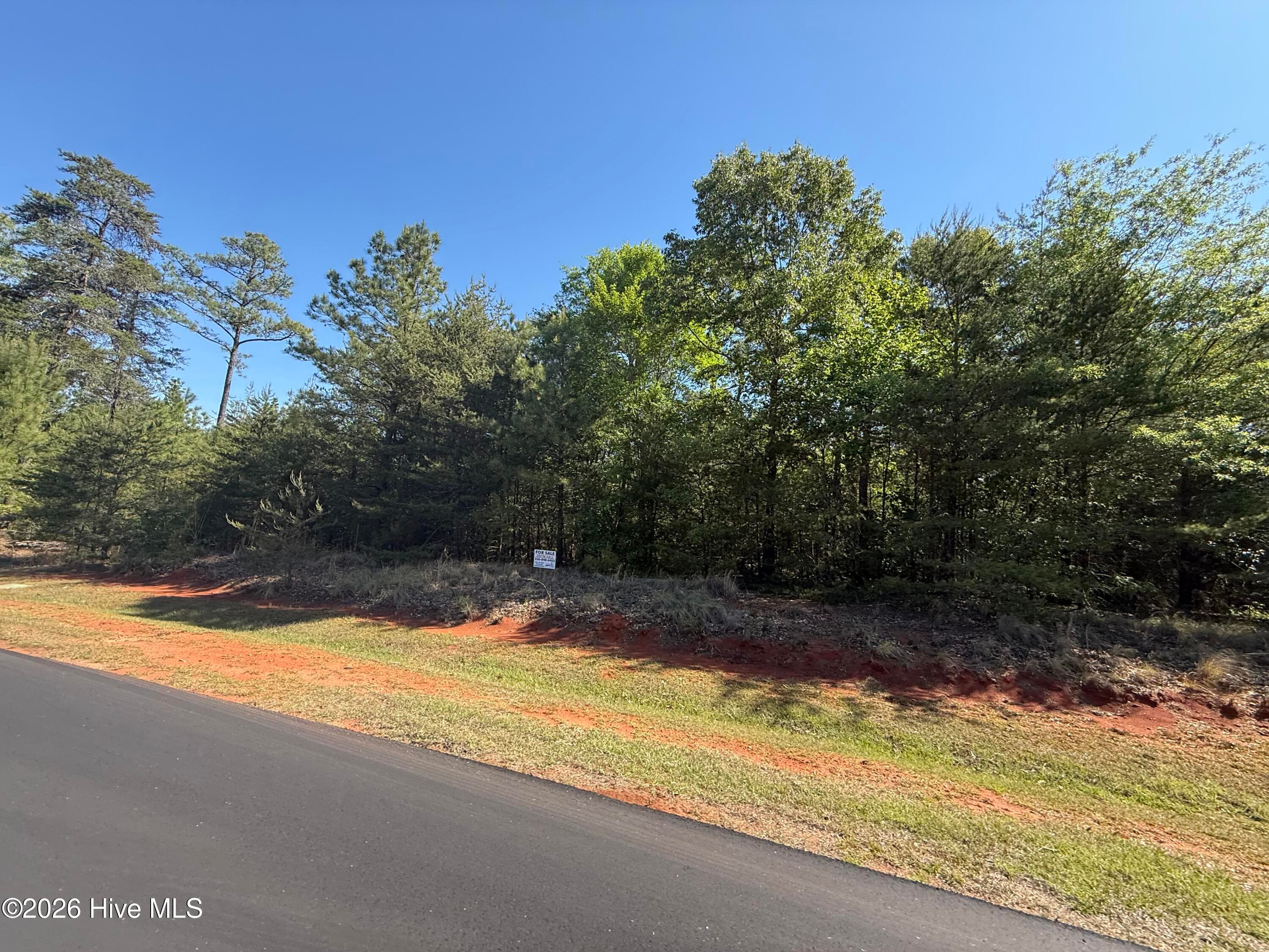 Residential Lot at 176 94 Lakeview Pass, Rockingham, NC 28379, photo 11 of 30
