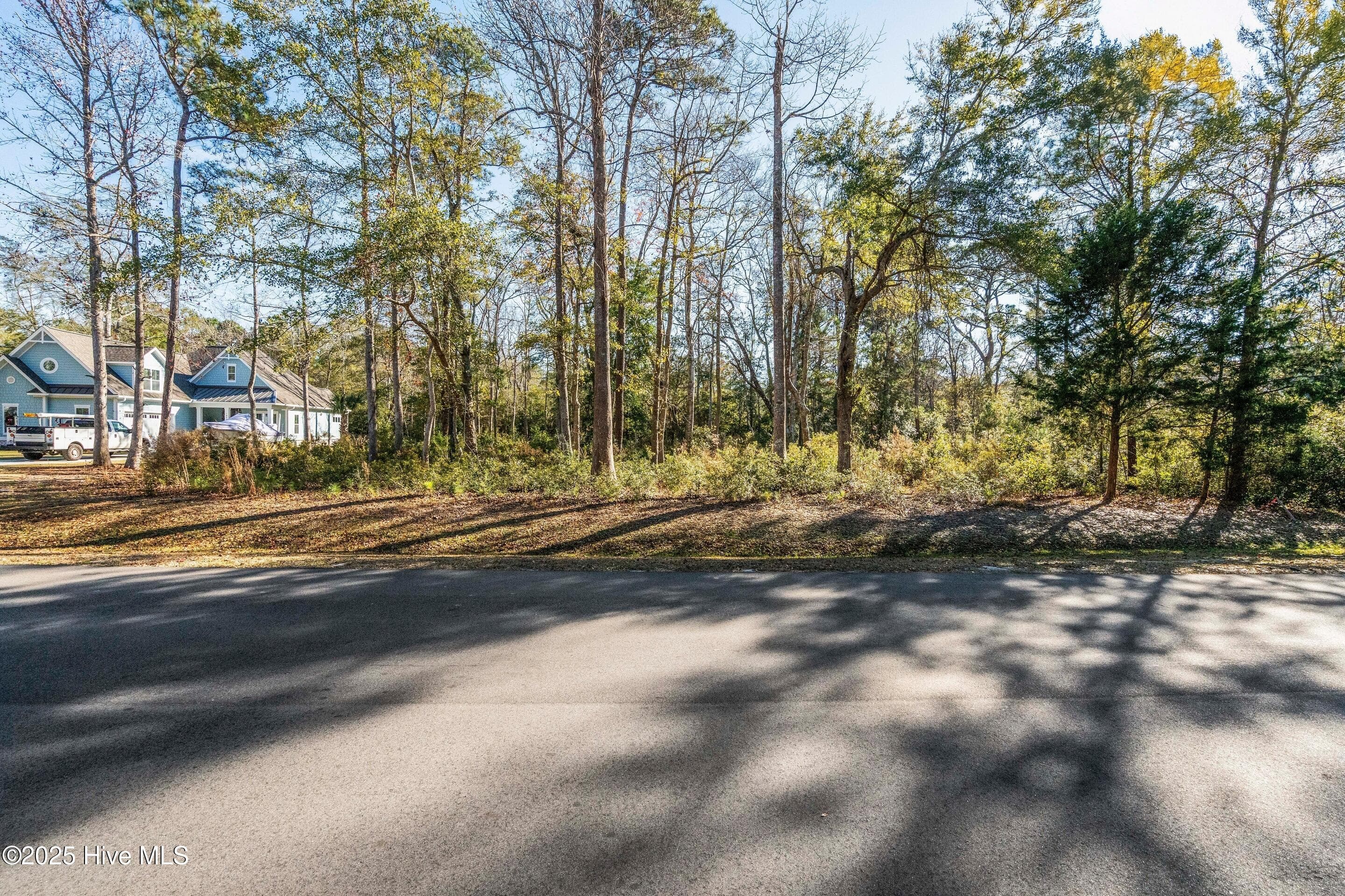 Residential Lot at 1872 185 Healing Water Lane SW, Supply, NC 28462, photo 10 of 29