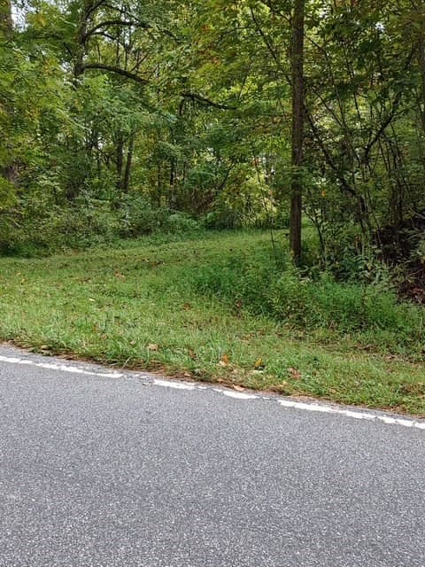 Land at 0 Yellow Branch Sr 1241, Robbinsville, NC 28771, photo 7 of 7