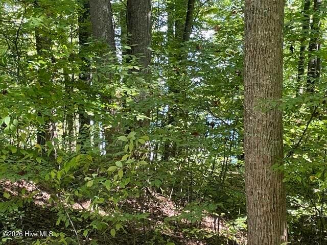 Residential Lot at 00 Rocky Branch Overlook, Topton, NC 28781, photo 7 of 7