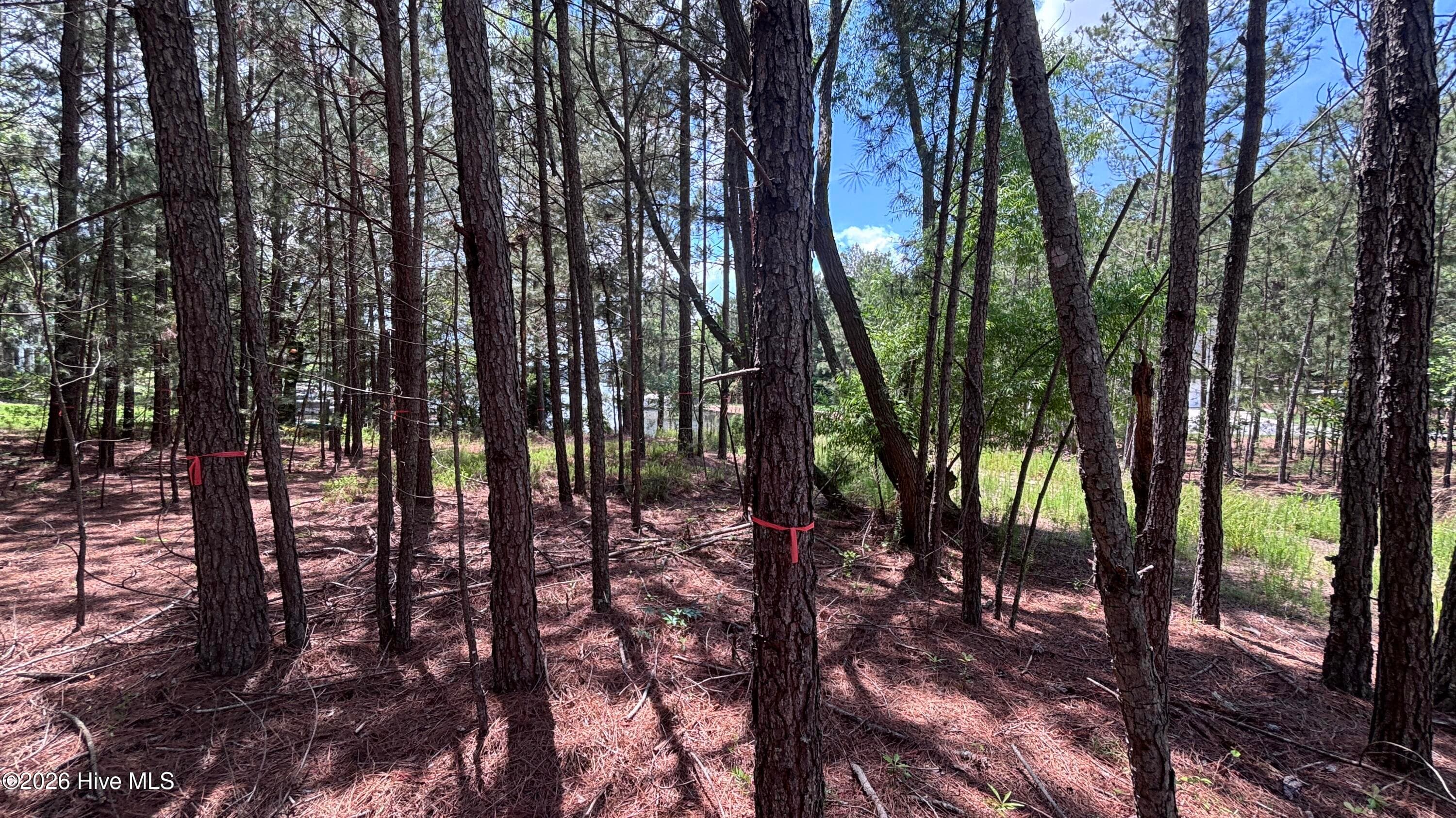 Residential Lot at 449 Longleaf Drive, West End, NC 27376, photo 9 of 11