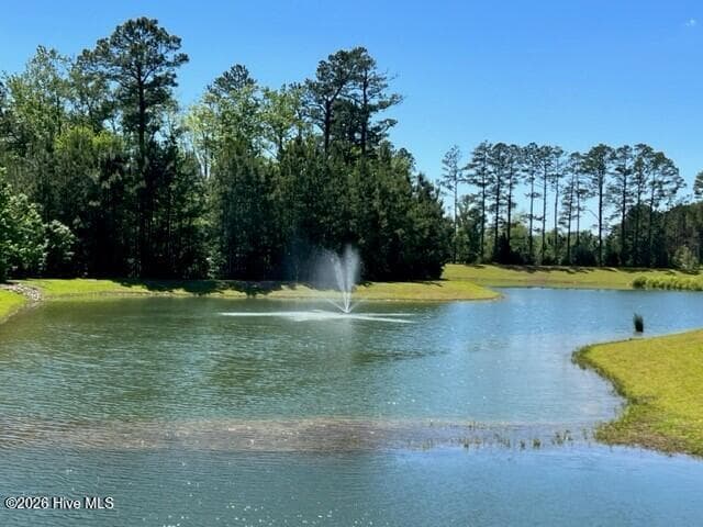 Single Family Residence at 3093 Golden Field Drive SE Lot 76, Bolivia, NC 28422, photo 30 of 47