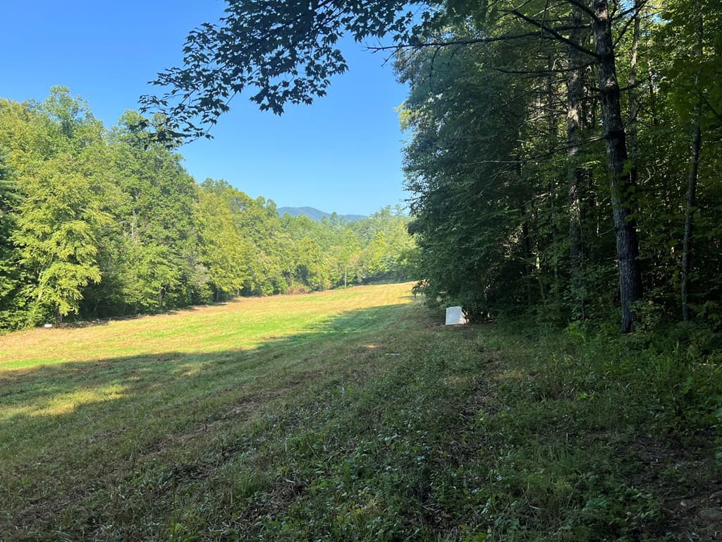 Undeveloped at 00 Rj Mountain View Drive, Murphy, NC 28906, photo 3 of 6