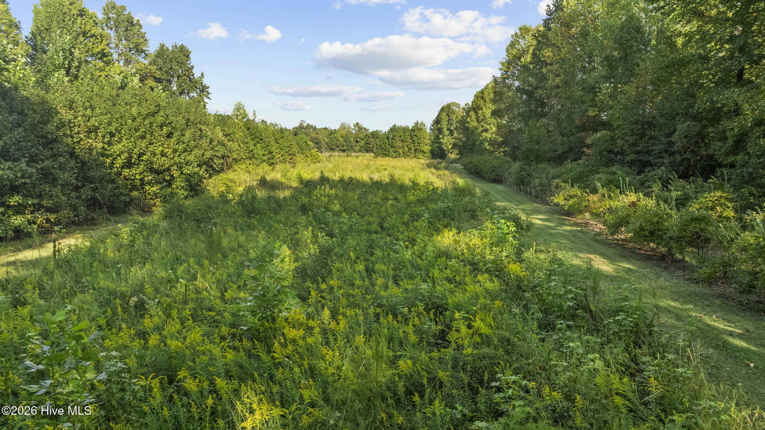 Single Family Residence at 6500 Maggie Hart Lane, Grifton, NC 28530, photo 52 of 66
