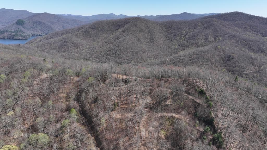 Residential Lot at 31.84 Ac Multi Big Choga / Highlander Road, Topton, NC 28781, photo 2 of 2