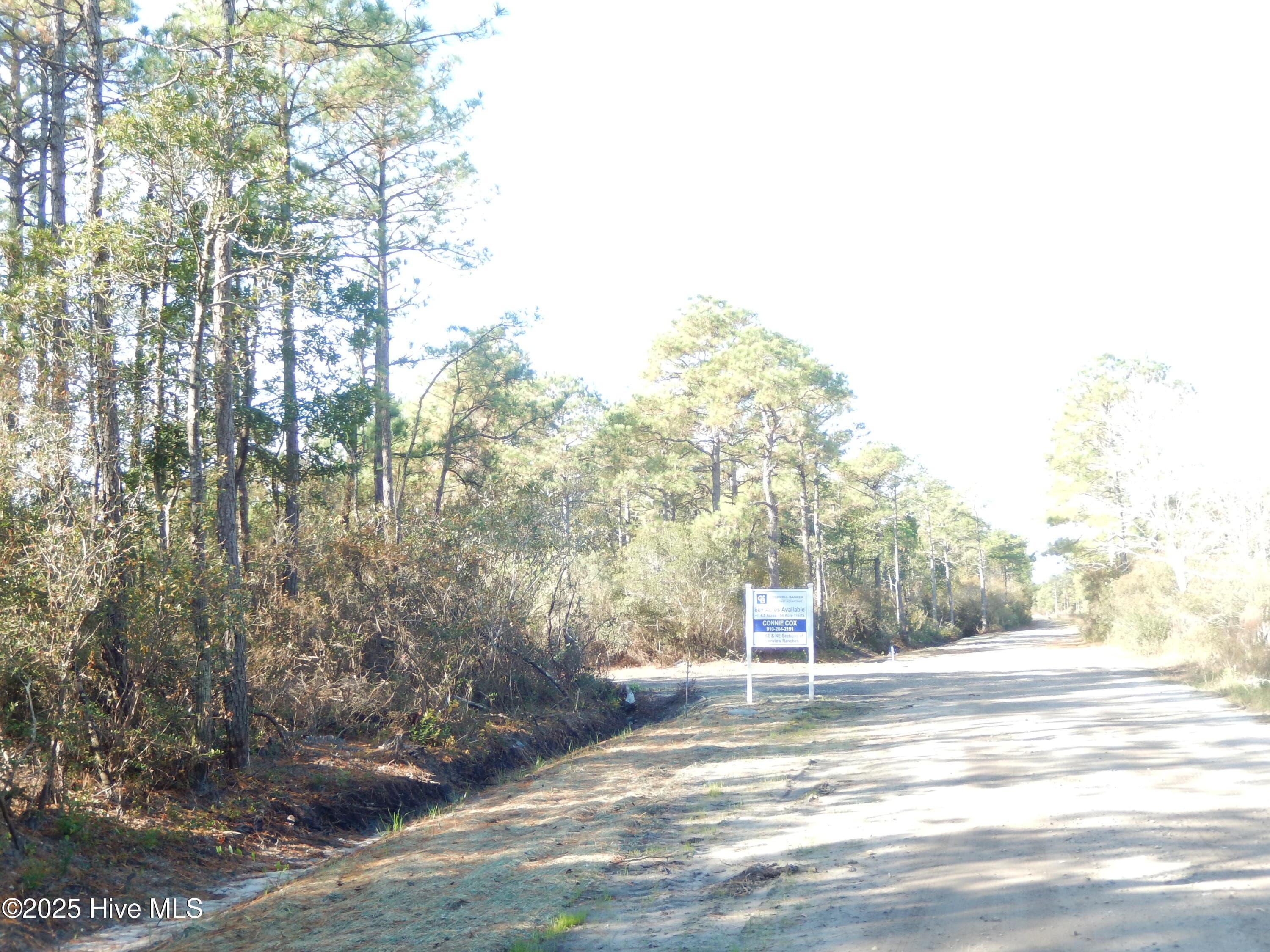 View of land approaching Plantation Road from east of Yvonne Rd intersection - 7600 61 Plantation Road, Wilmington, NC 28411