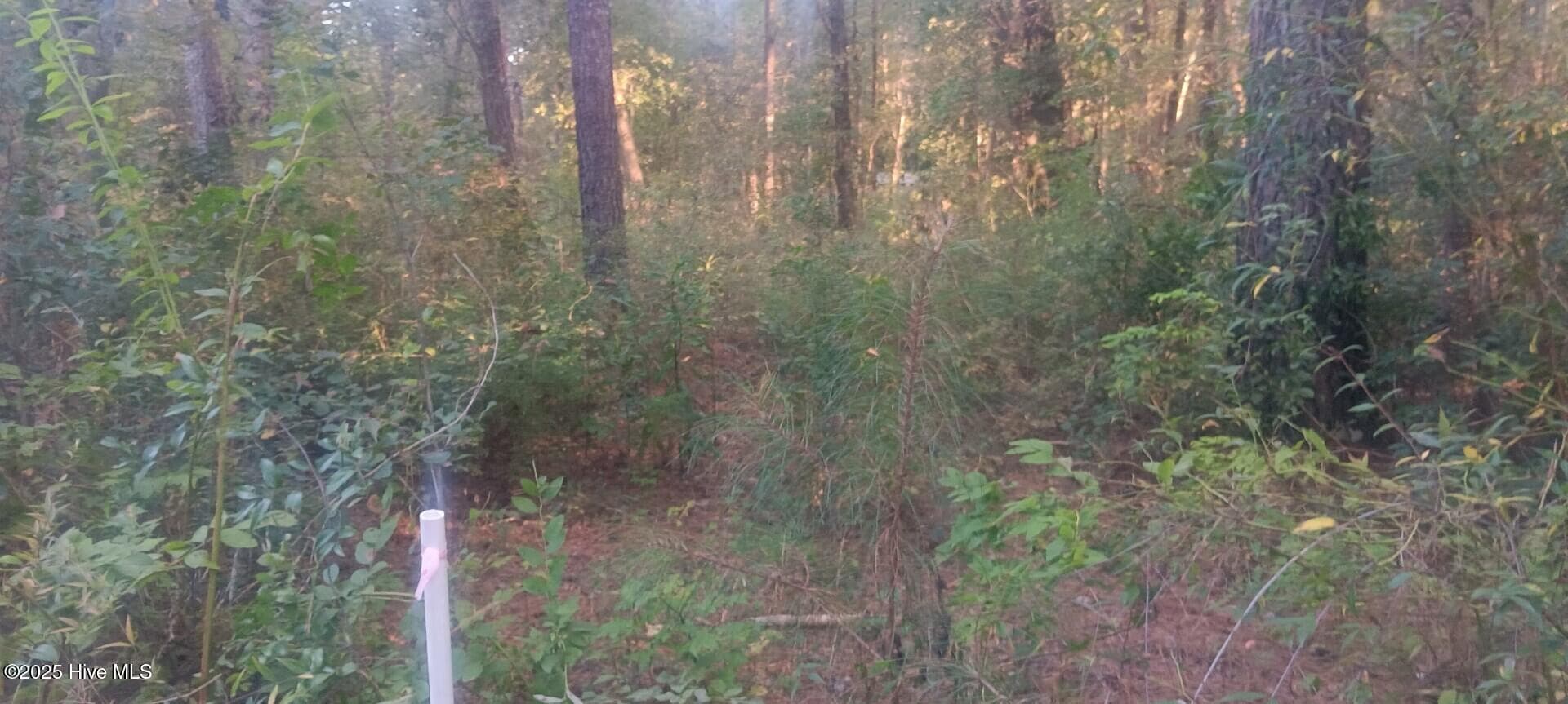 Residential Lot at 0 6 Hwy 53, Burgaw, NC 28425, photo 4 of 5