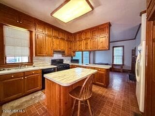 Single Family Residence at 407 S King Street, Windsor, NC 27983, photo 73 of 146