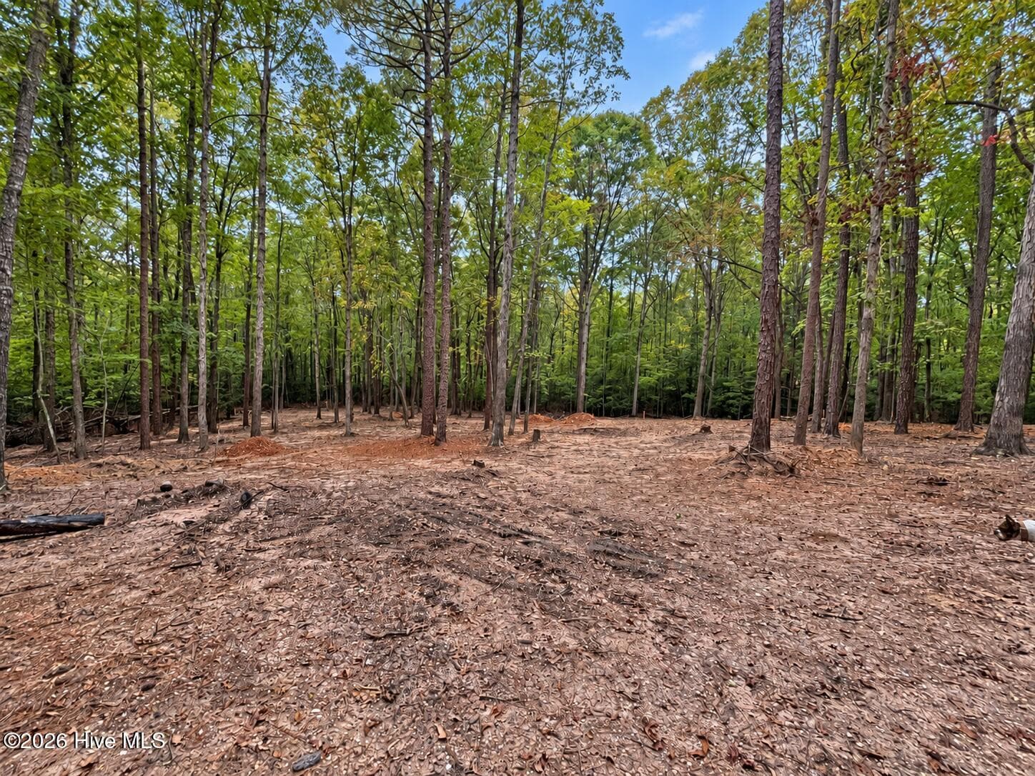 Residential Lot at 150 Morgan Circle, Carthage, NC 28327, photo 4 of 20