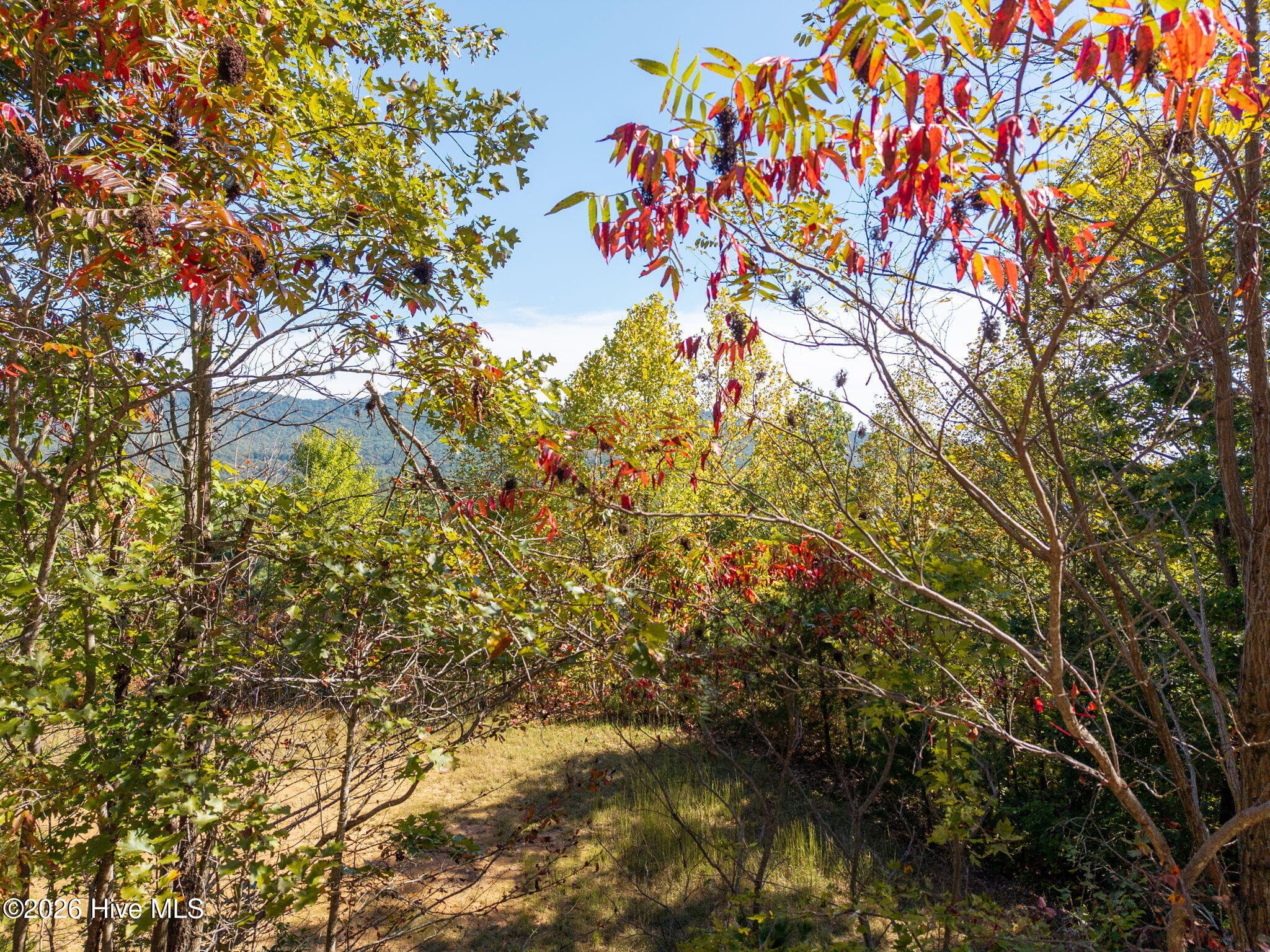Residential Lot at 33 Sugarwood Drive, Murphy, NC 28906, photo 21 of 24