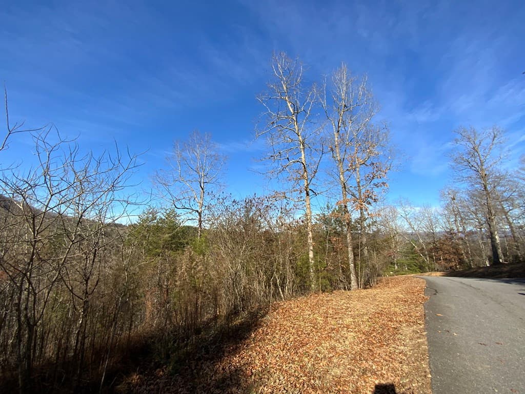 Land at 00 Brasstown View, Murphy, NC 28906, photo 3 of 12