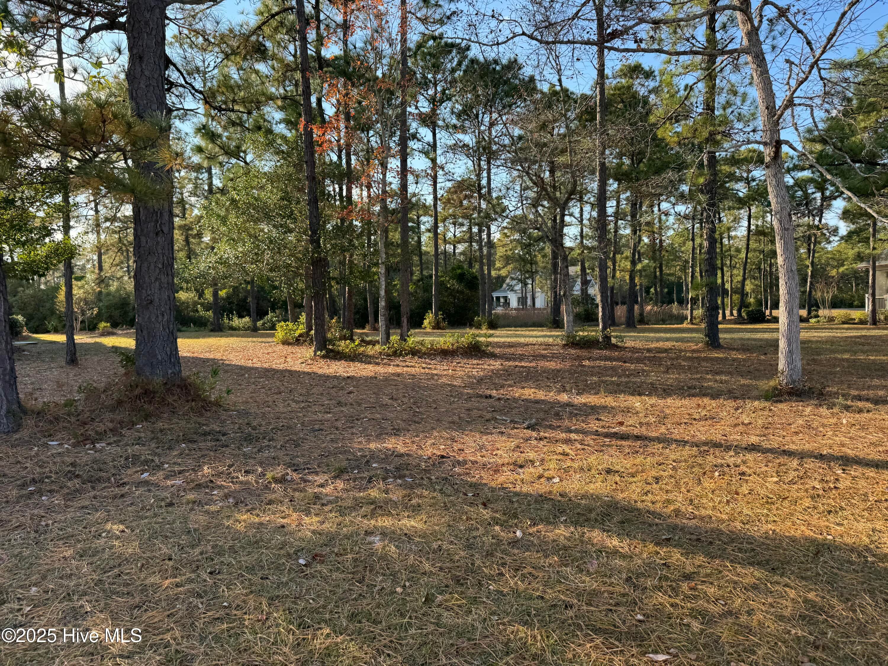 Residential Lot at 6649 65 Summerhill Glen SW, Ocean Isle Beach, NC 28469, photo 9 of 21