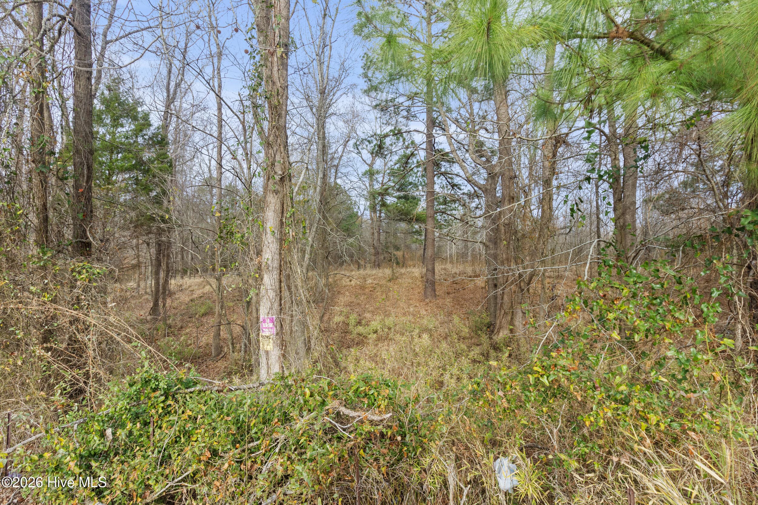 Undeveloped at 2711 Old Airport Road, New Bern, NC 28562, photo 20 of 23