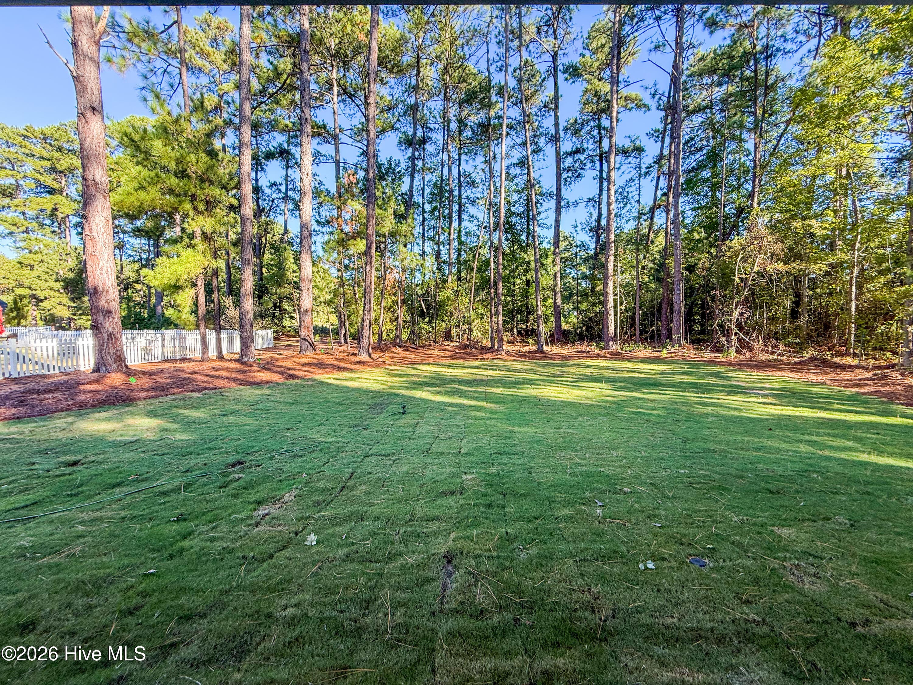 Single Family Residence at 159 Laurel Oak Lane, Pinebluff, NC 28373, photo 6 of 8