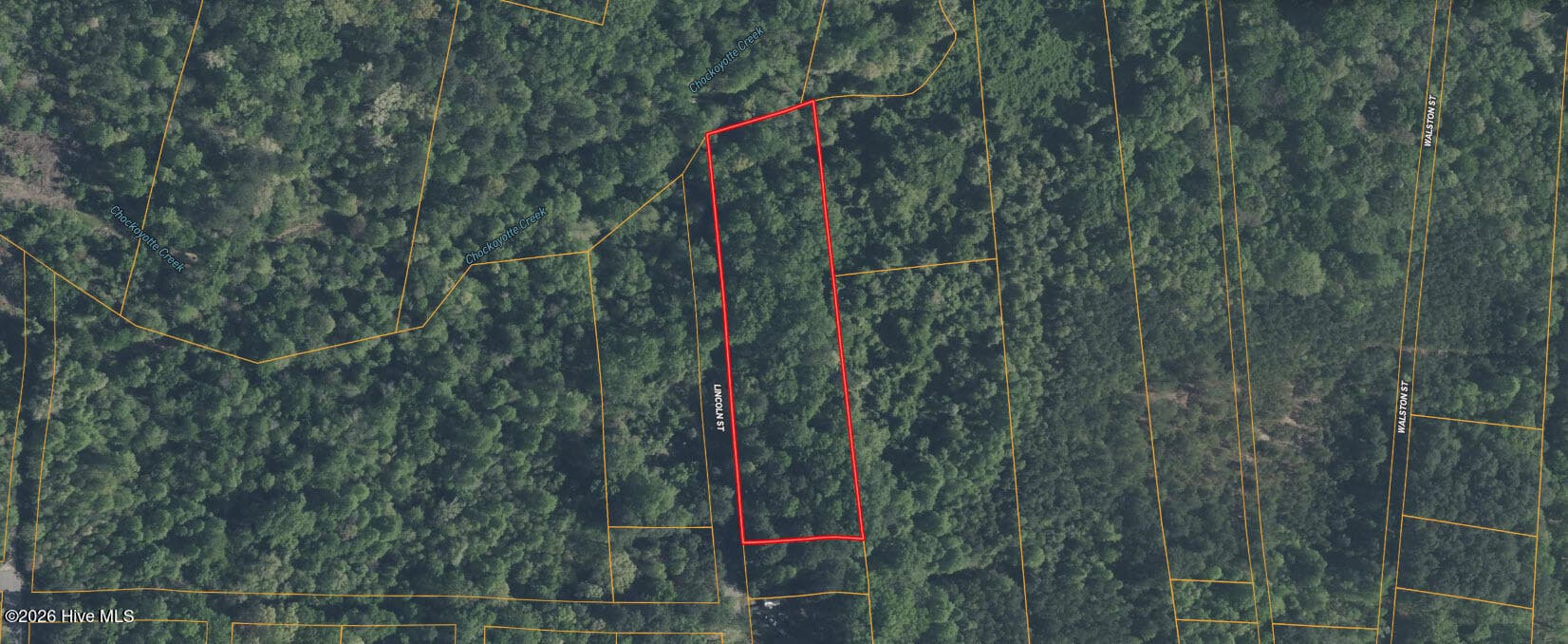 Undeveloped at 0 Lincoln Street, Roanoke Rapids, NC 27870, photo 2 of 7