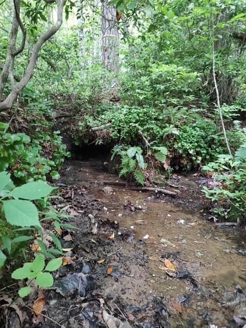 Land at 580 Overlook, Robbinsville, NC 28771, photo 2 of 11
