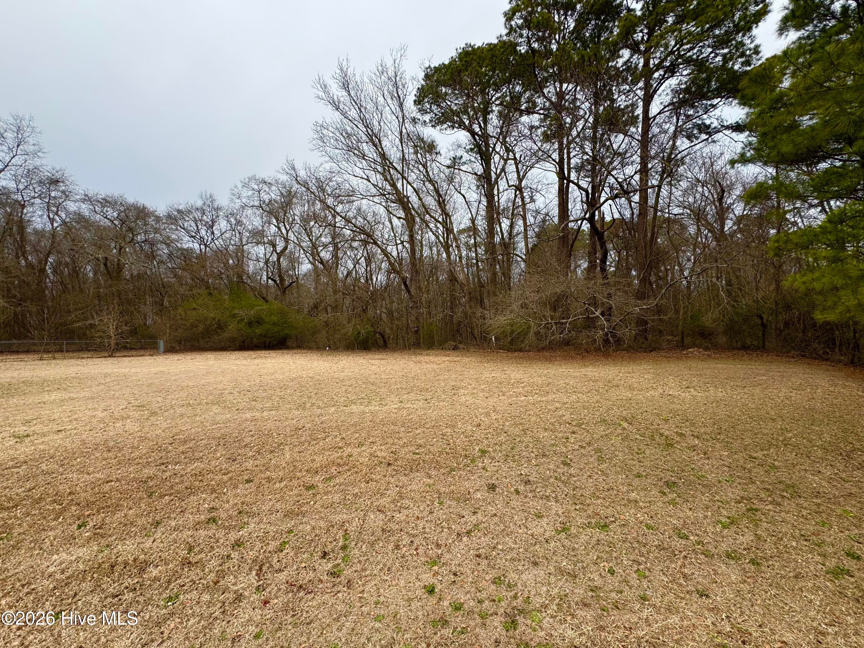 Residential Lot at 102 Colt Court, Pikeville, NC 27863, photo 2 of 6