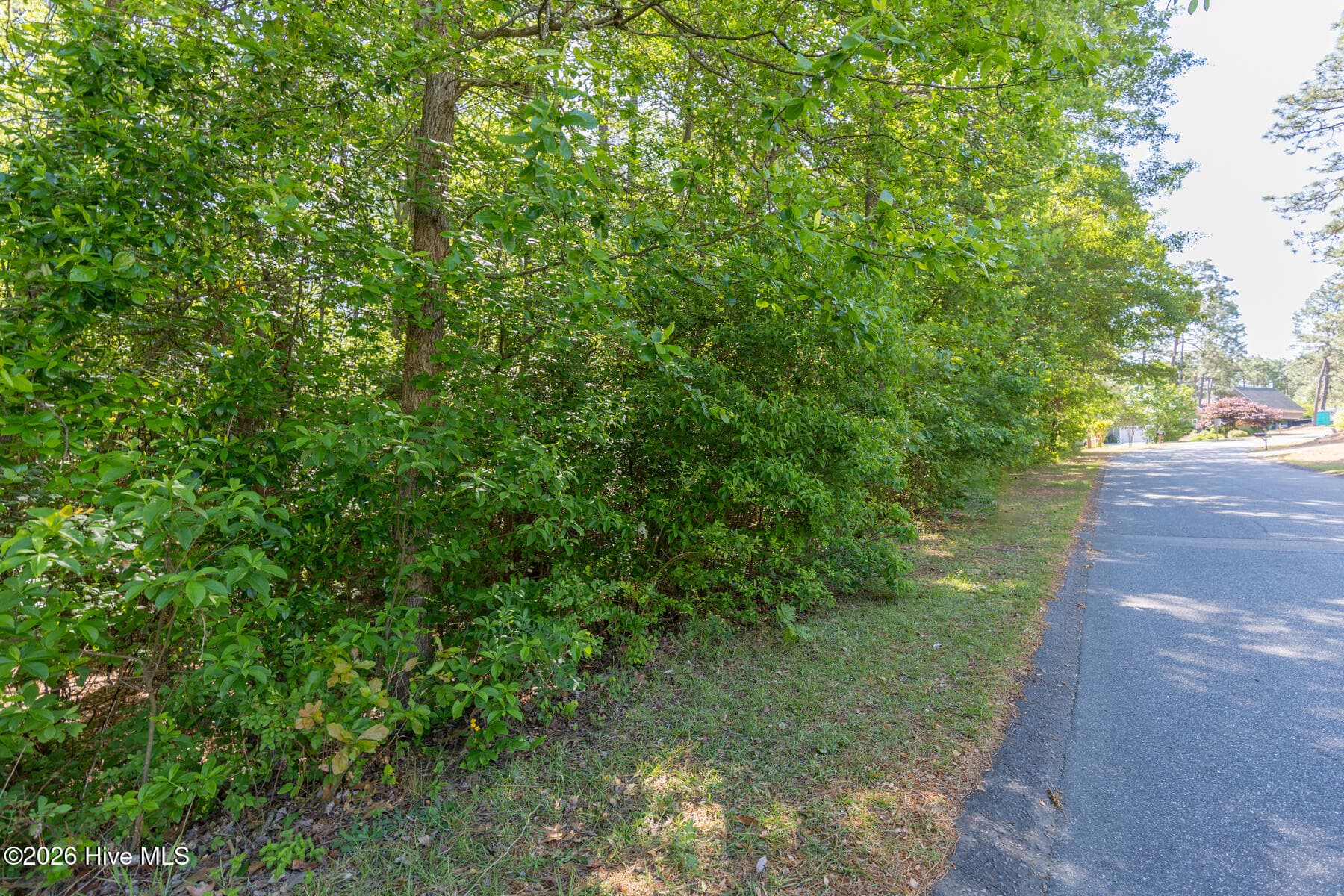 Wooded at 305 Kingswood Circle, Pinehurst, NC 28374, photo 2 of 6