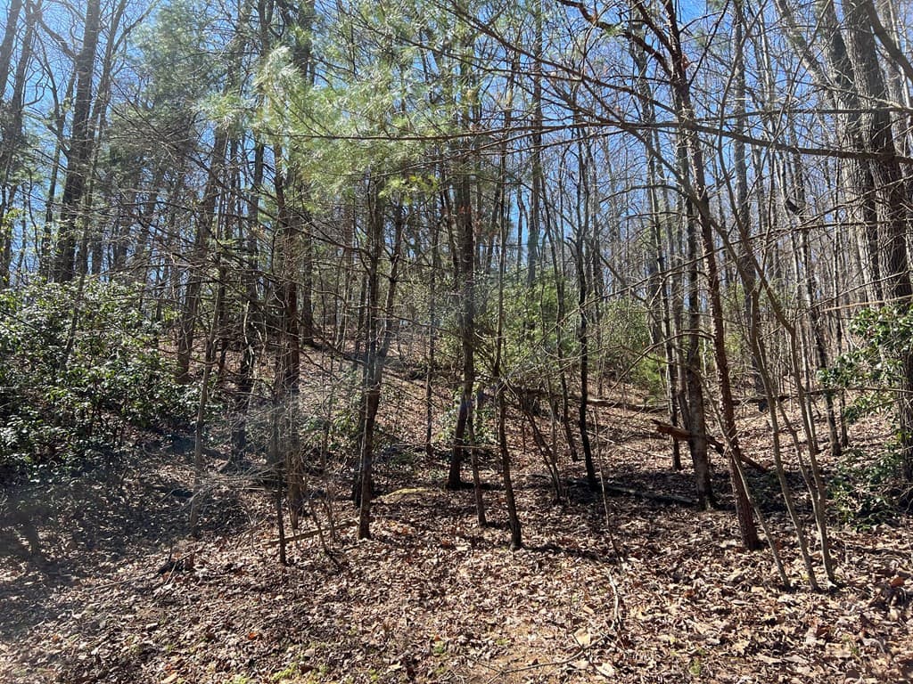 Residential Lot at Lots High View Rd Wolf Mountain Estates, Murphy, NC 28906, photo 11 of 18