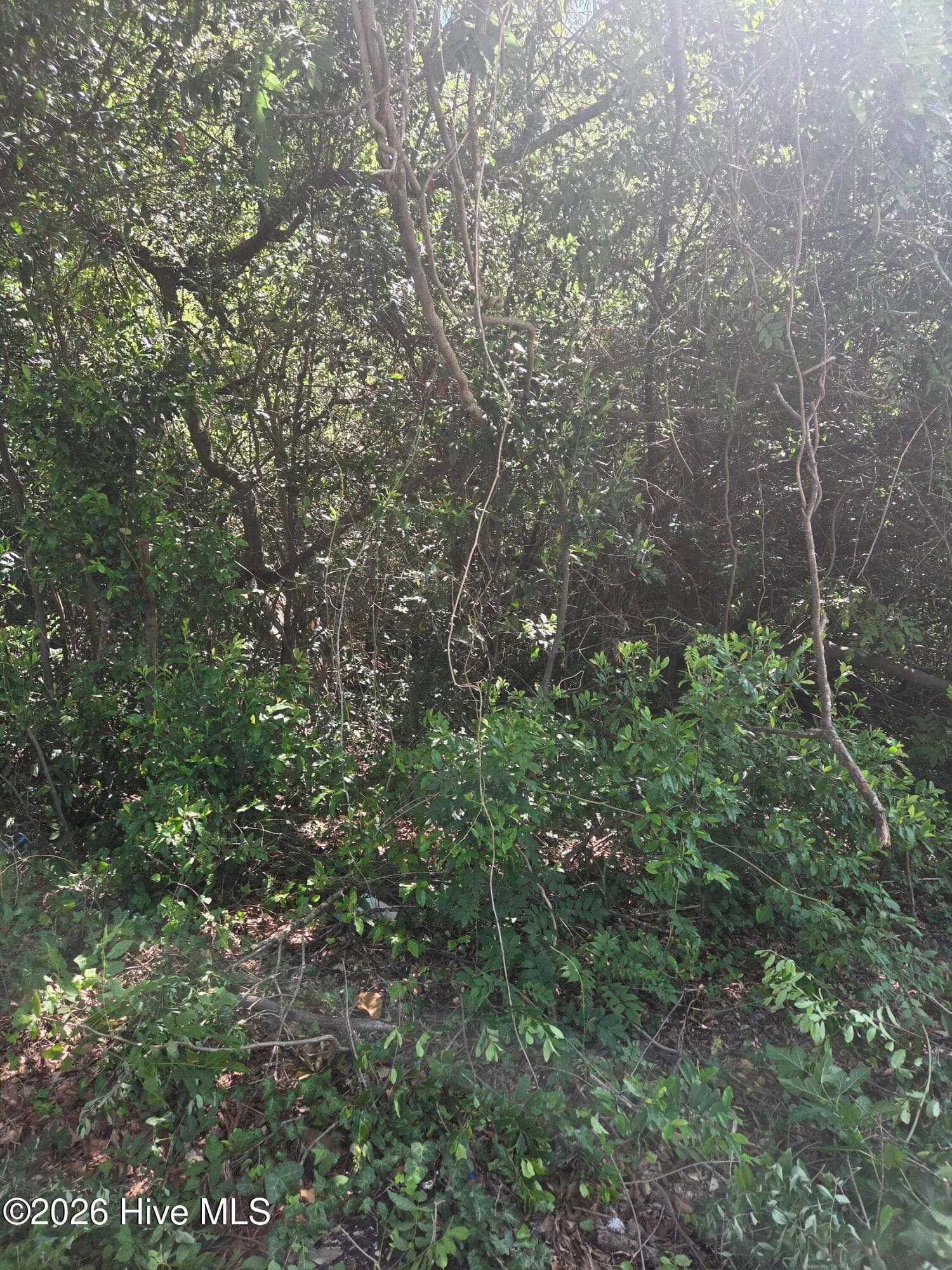 Residential Lot at Tbd N Skipper Street N, Rockingham, NC 28379, photo 6 of 8