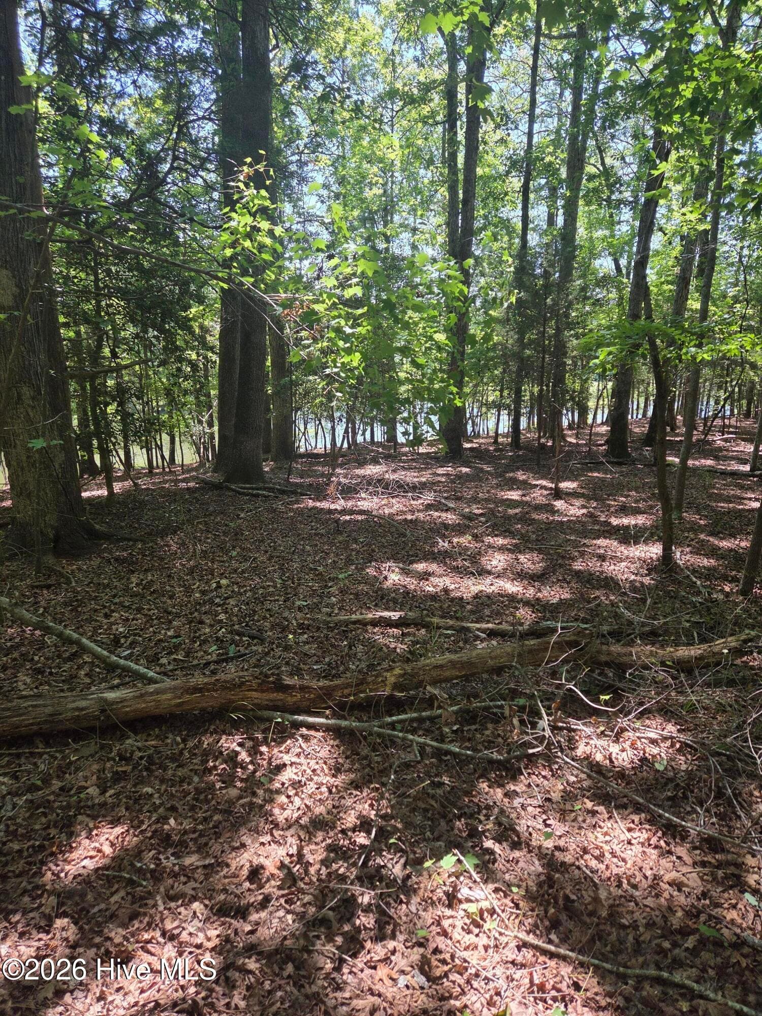 Residential Lot at Lot 45b 45B Appaloosa Lake Drive, Carthage, NC 28327, Carthage, photo 4 of 19