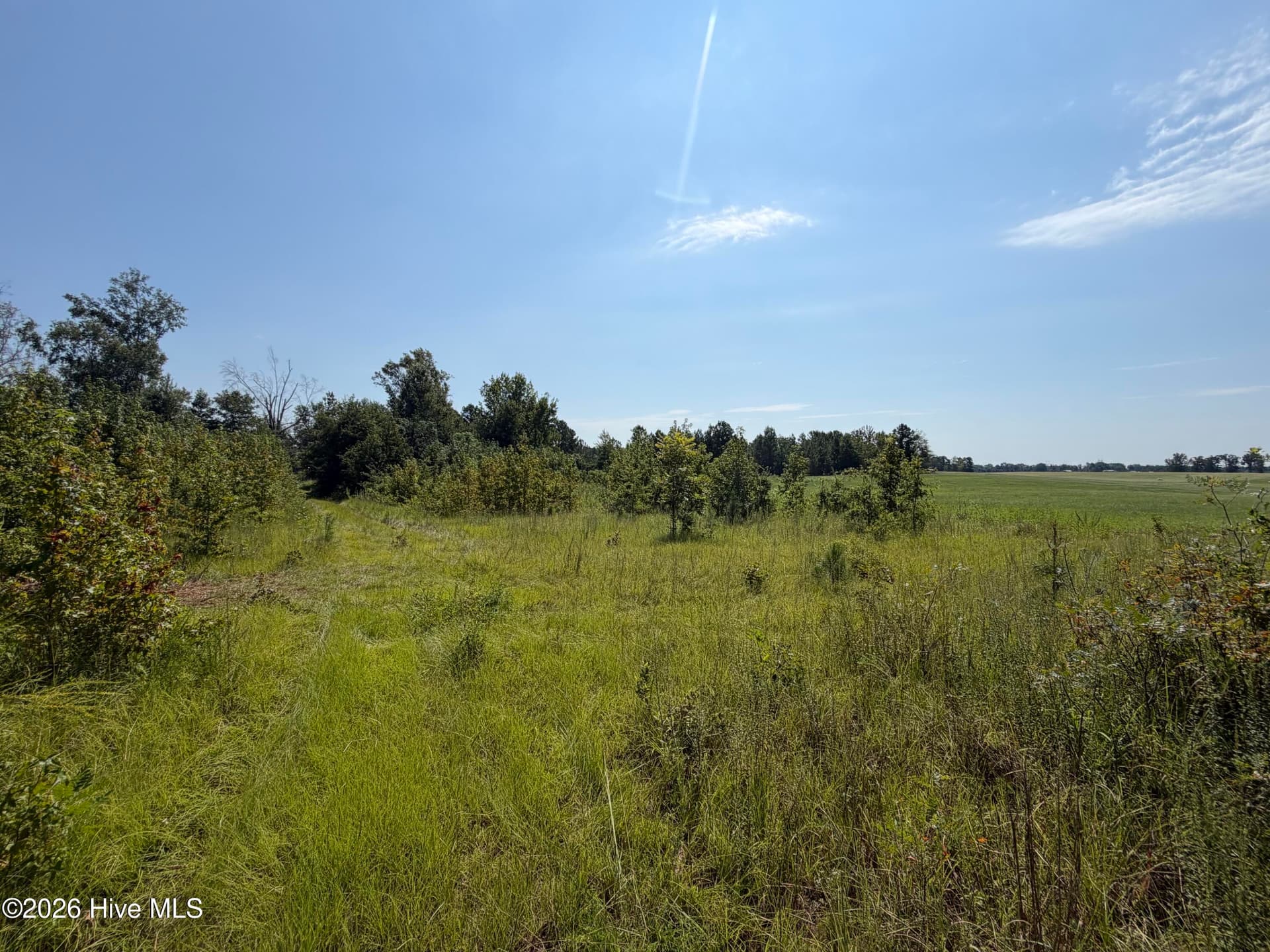 Residential Lot at 0 0 Poole Melton Road, Blythe, GA 30805, photo 2 of 15