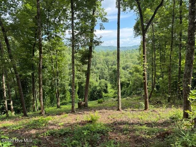 Mountain View Lot - Lot 25 25 Bryson Creek Drive, Murphy, NC 28906