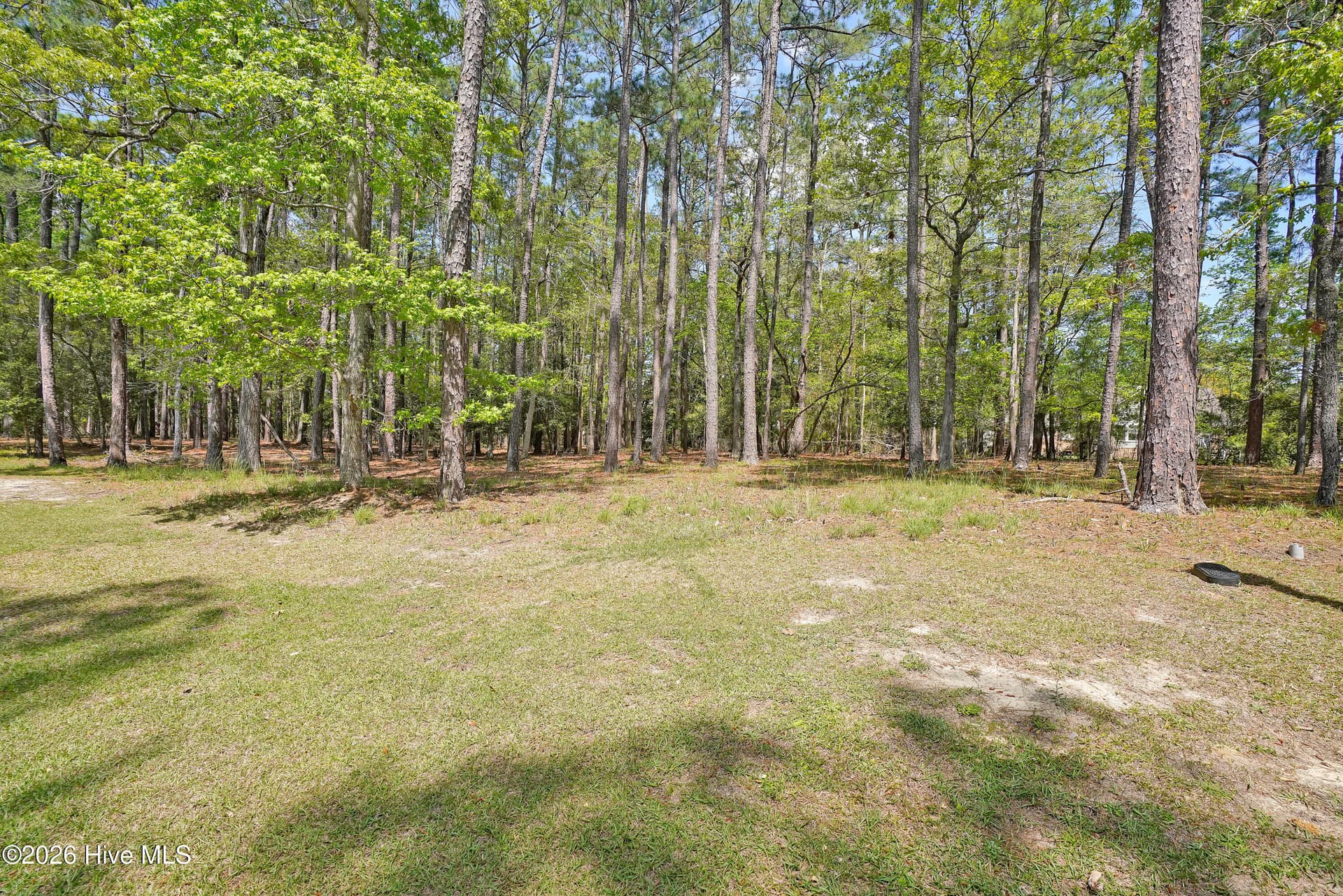 3736 51 Pine Brook Trail, Shallotte, NC 28470