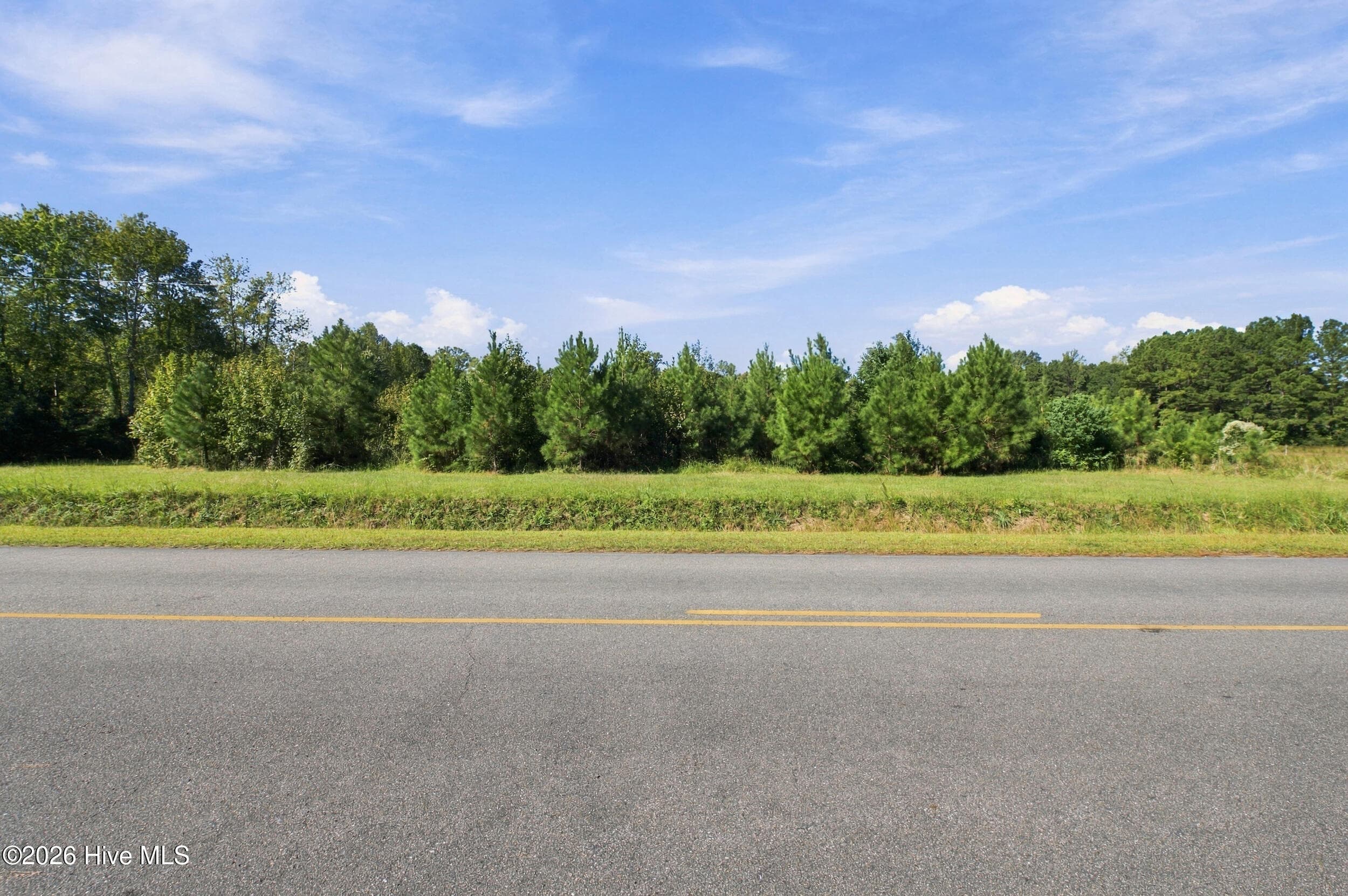 Undeveloped at 0 Balcombe Road, Rocky Point, NC 28457, photo 4 of 24