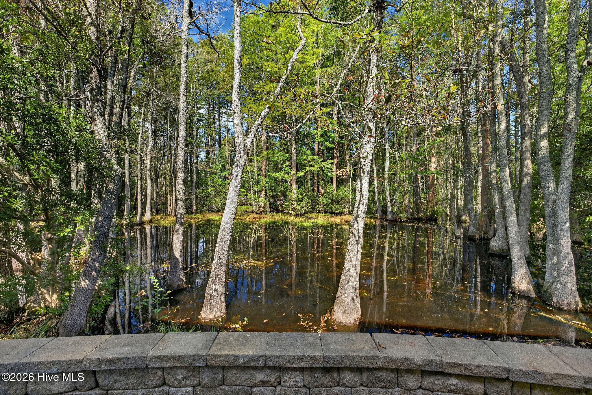 Single Family Residence at 1809 Mews Drive, Wilmington, NC 28405, photo 16 of 72