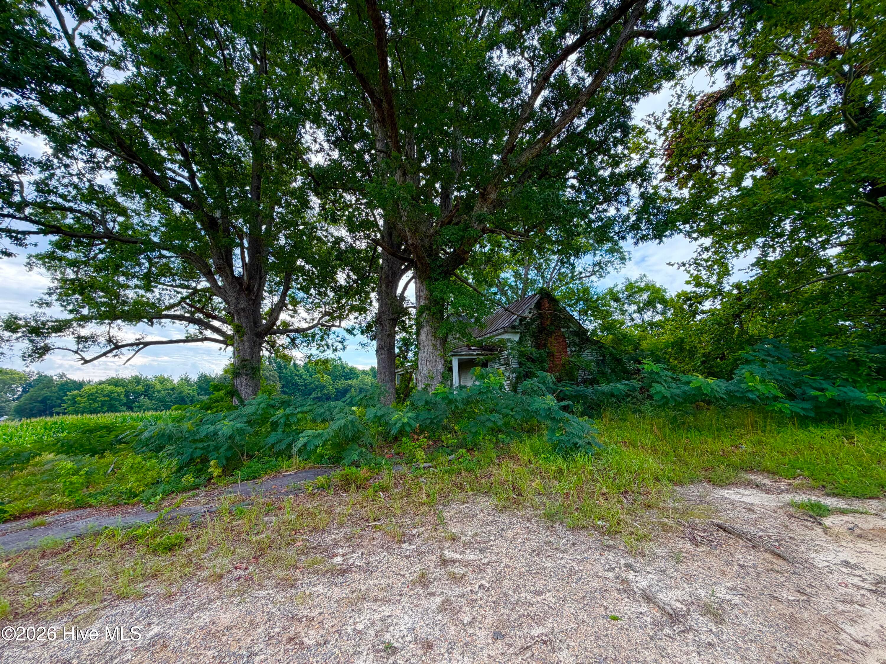 Farm at 478 Davis Mill Road, Fremont, NC 27830, photo 20 of 21