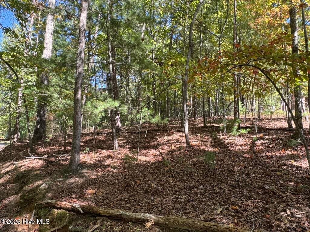 Residential Lot at Lot 1 1 Laurelwood Circle, Murphy, NC 28906, photo 14 of 24