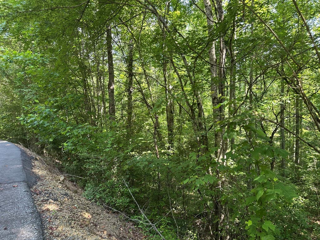 Wooded at 00 Choctaw Ridge Trail, Murphy, NC 28906, photo 2 of 2