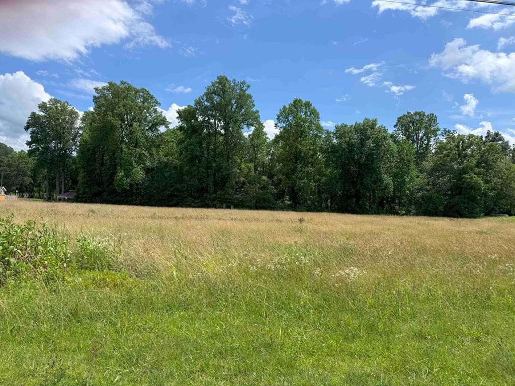 Land at 4.27 Upper Valley Lane, Andrews, NC 28901, photo 4 of 7
