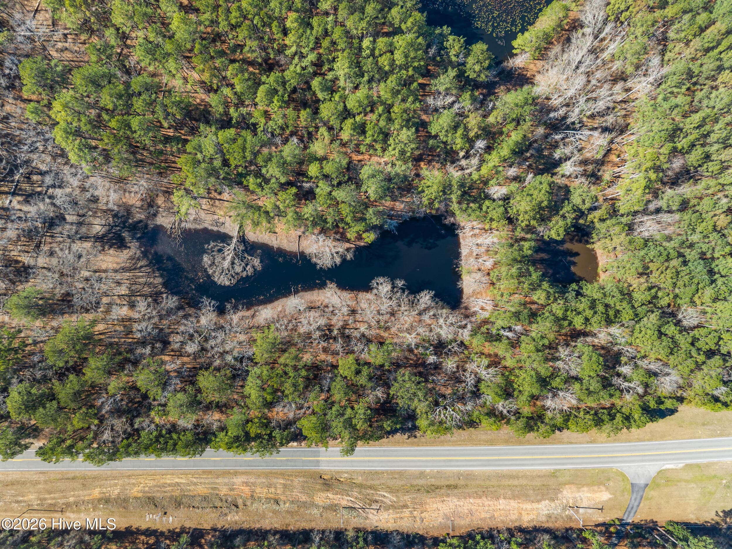 Undeveloped at 22701 Highway 129, Cobbtown, GA 30420, photo 5 of 10