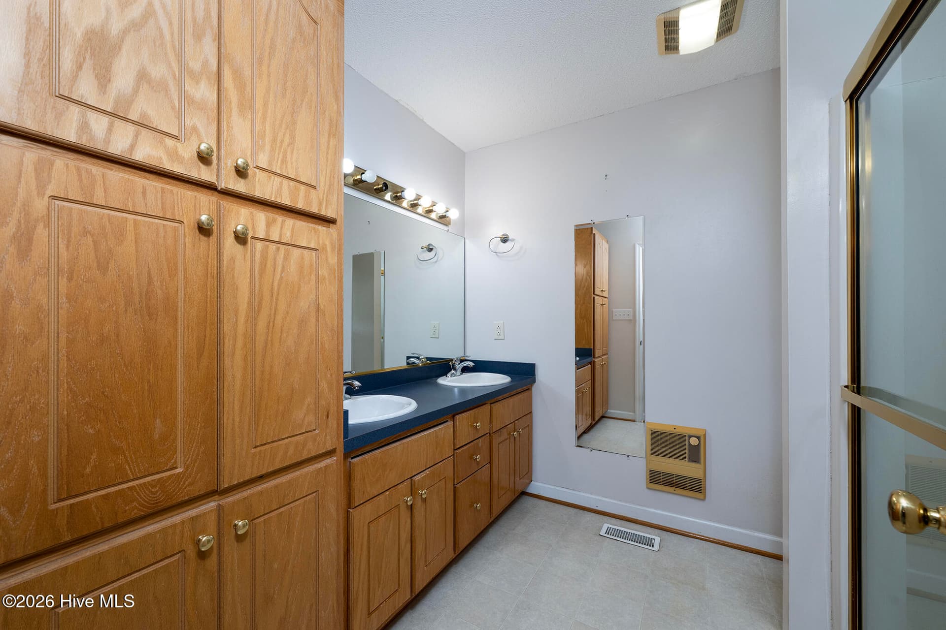Dual Sink Vanity & Walk-in Shower - 104 Trawick Drive, La Grange, NC 28551