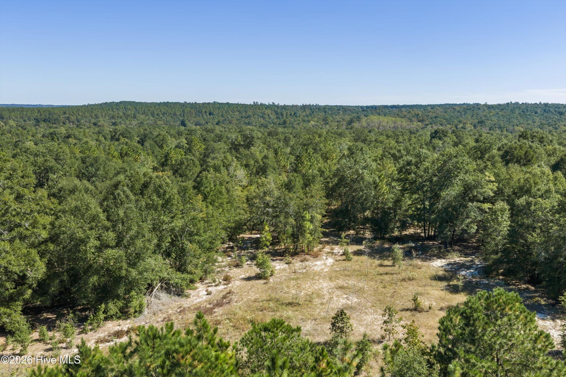 Residential Lot at 000.0 Mary Rawls Road, Wagener, SC 29164, photo 13 of 21
