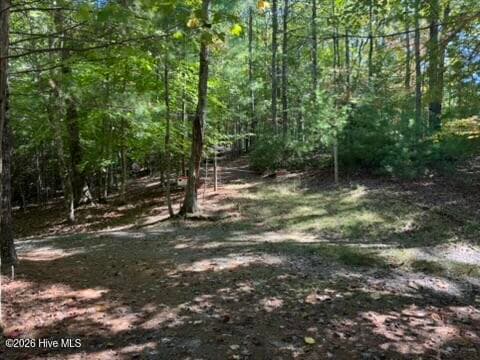 Residential Lot at Lot 1 1 Laurelwood Circle, Murphy, NC 28906, photo 24 of 24