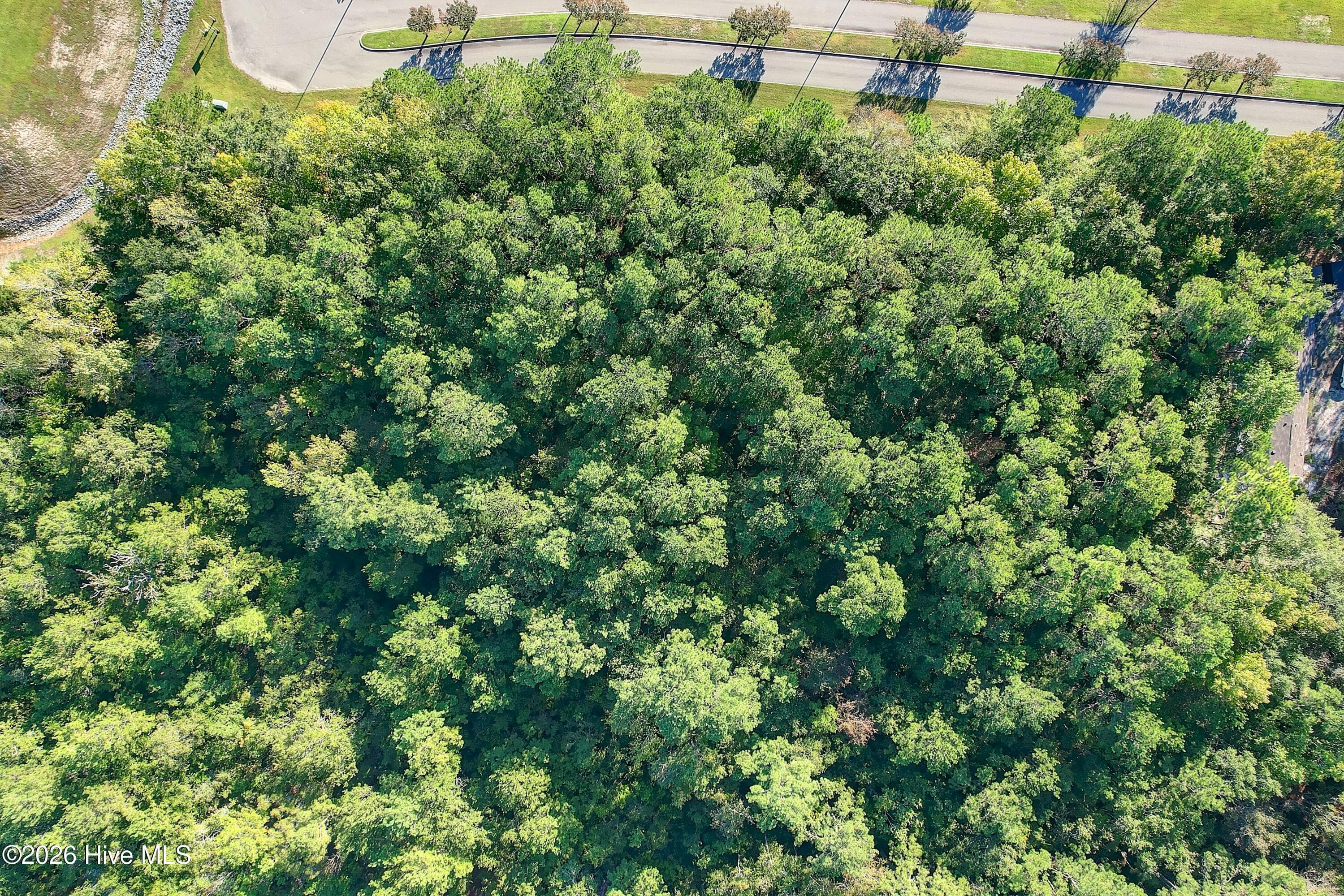 Undeveloped at 760 2 Standen Lane SW, Supply, NC 28462, photo 26 of 26