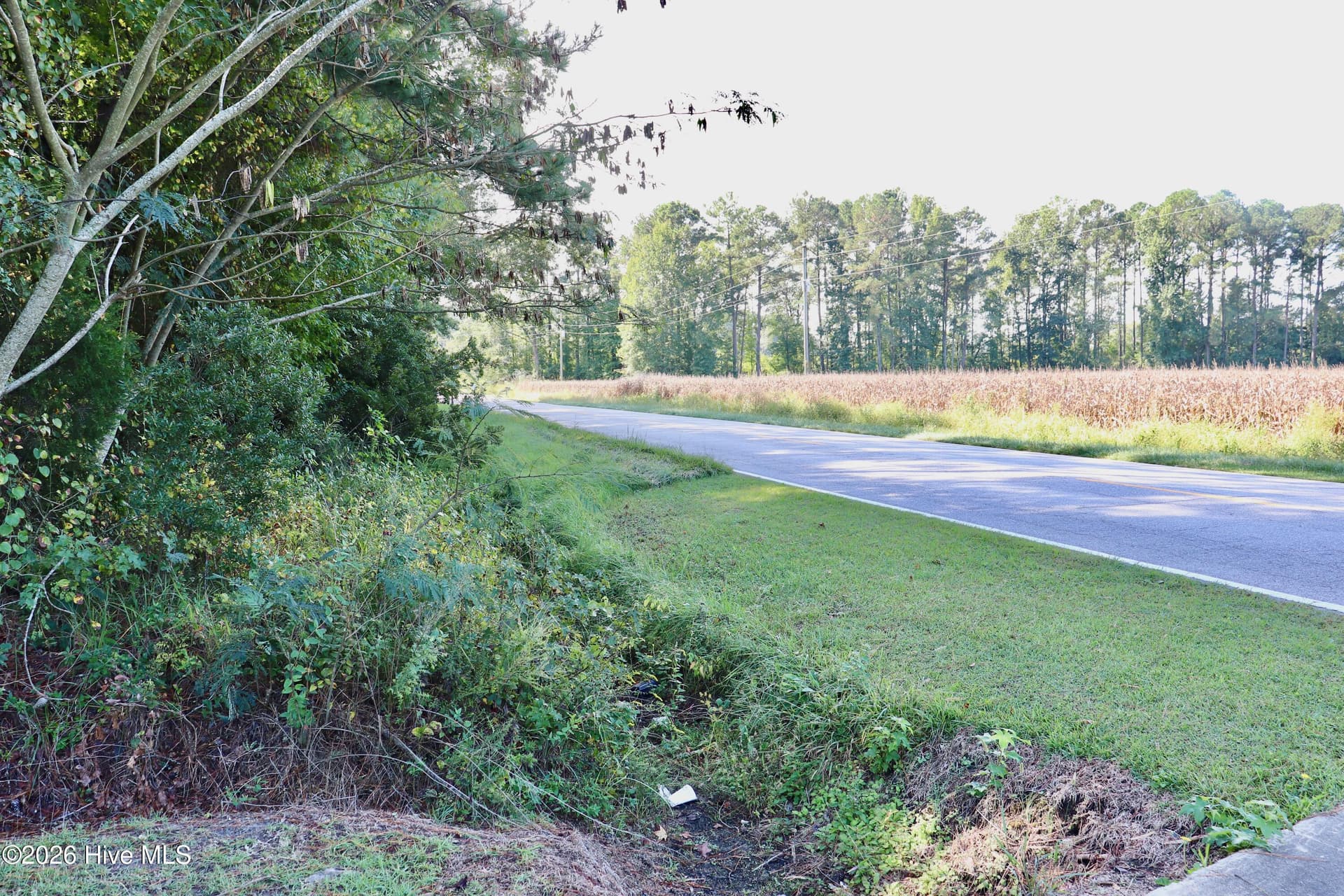 Single Family Residence at 6972 Market St Ex Ext, Washington, NC 27889, photo 31 of 33